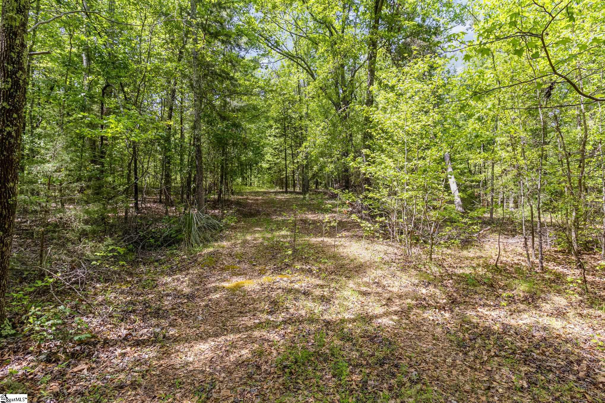 231 Tate Chapman, Simpsonville, South Carolina image 6