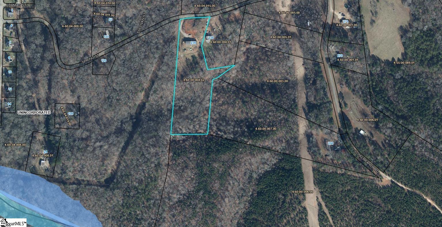 230 Spring, Enoree, South Carolina image 42