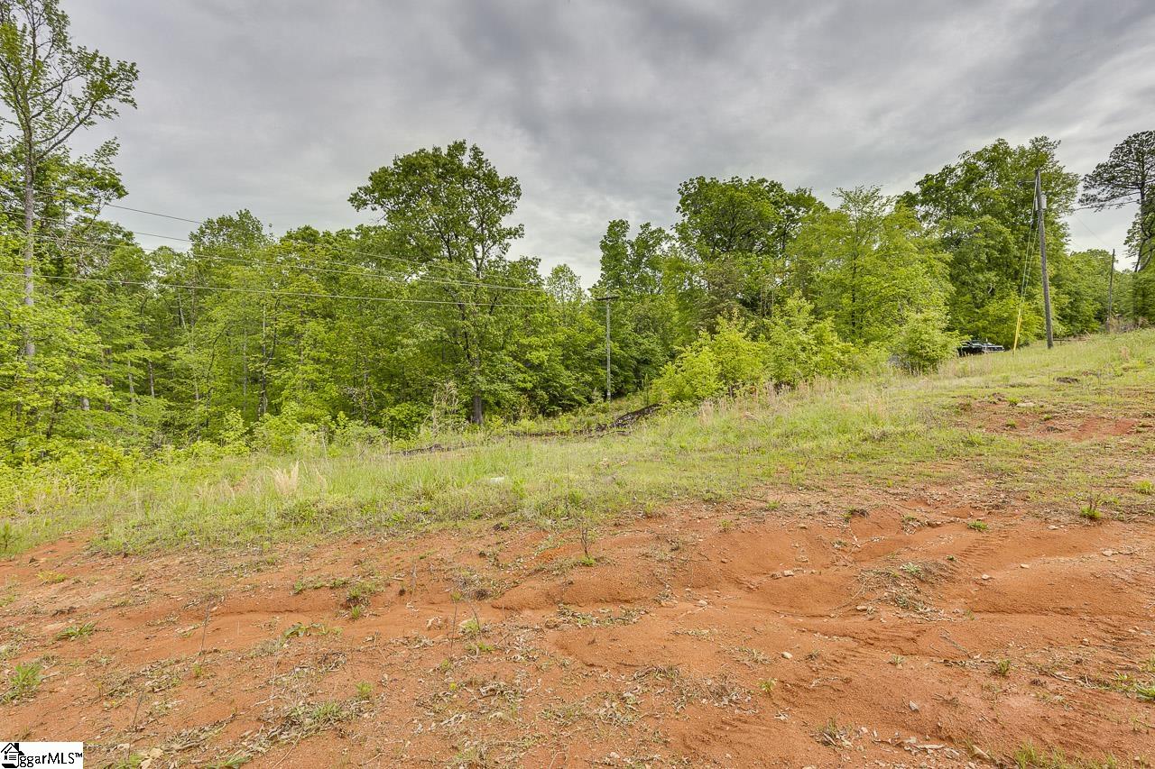 230 Spring, Enoree, South Carolina image 8