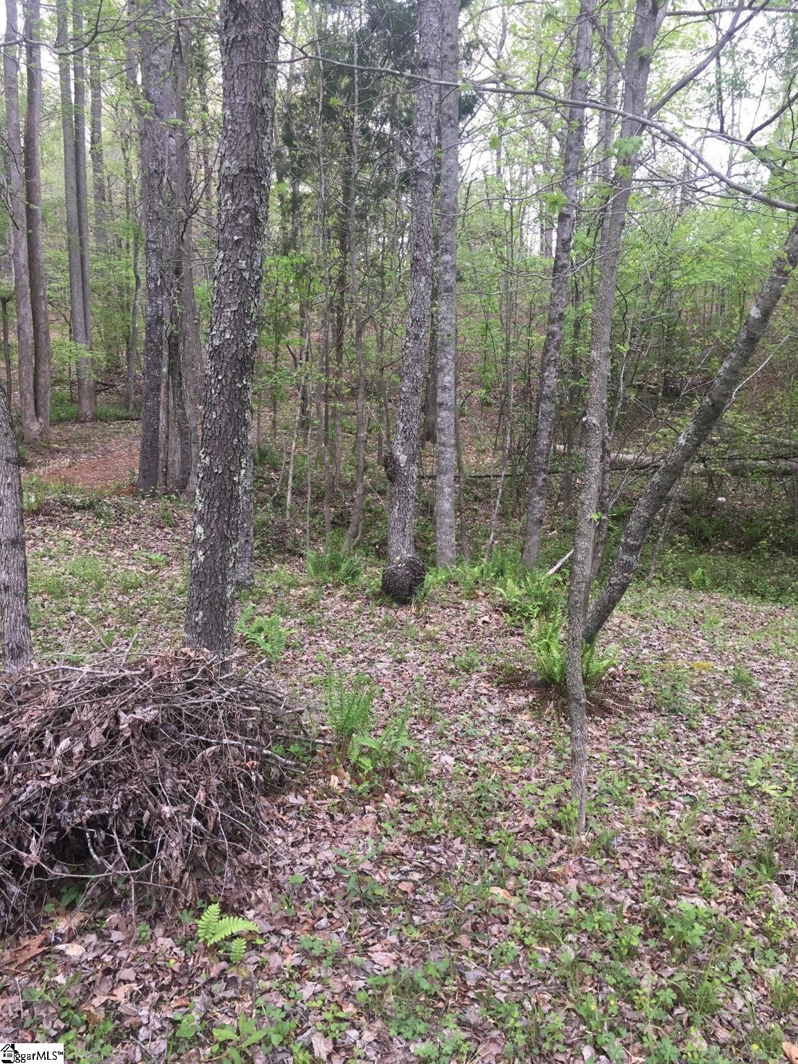 442 Green River, Gaffney, South Carolina image 14