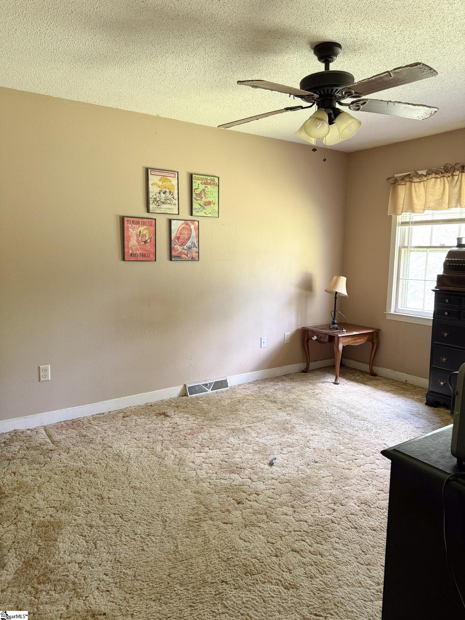 203 Larkin, Greenwood, South Carolina image 12