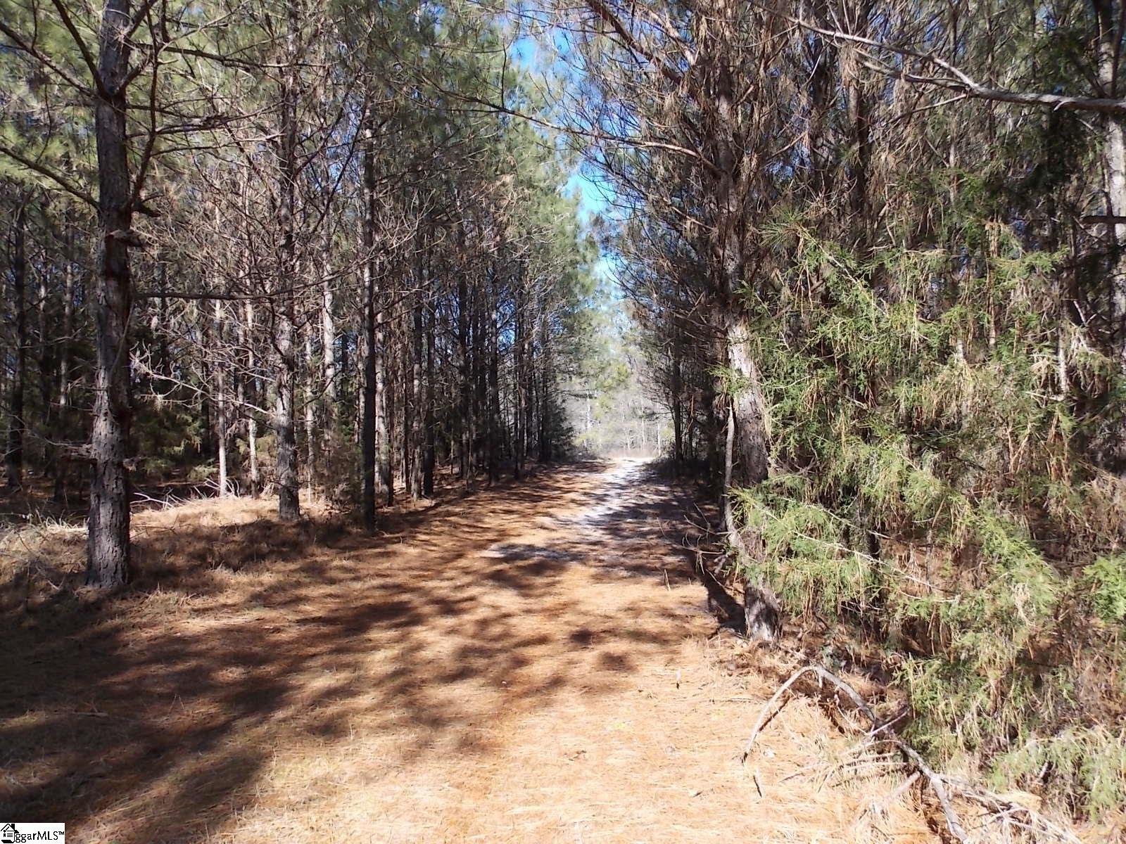 00 Carrington, Starr, South Carolina image 7