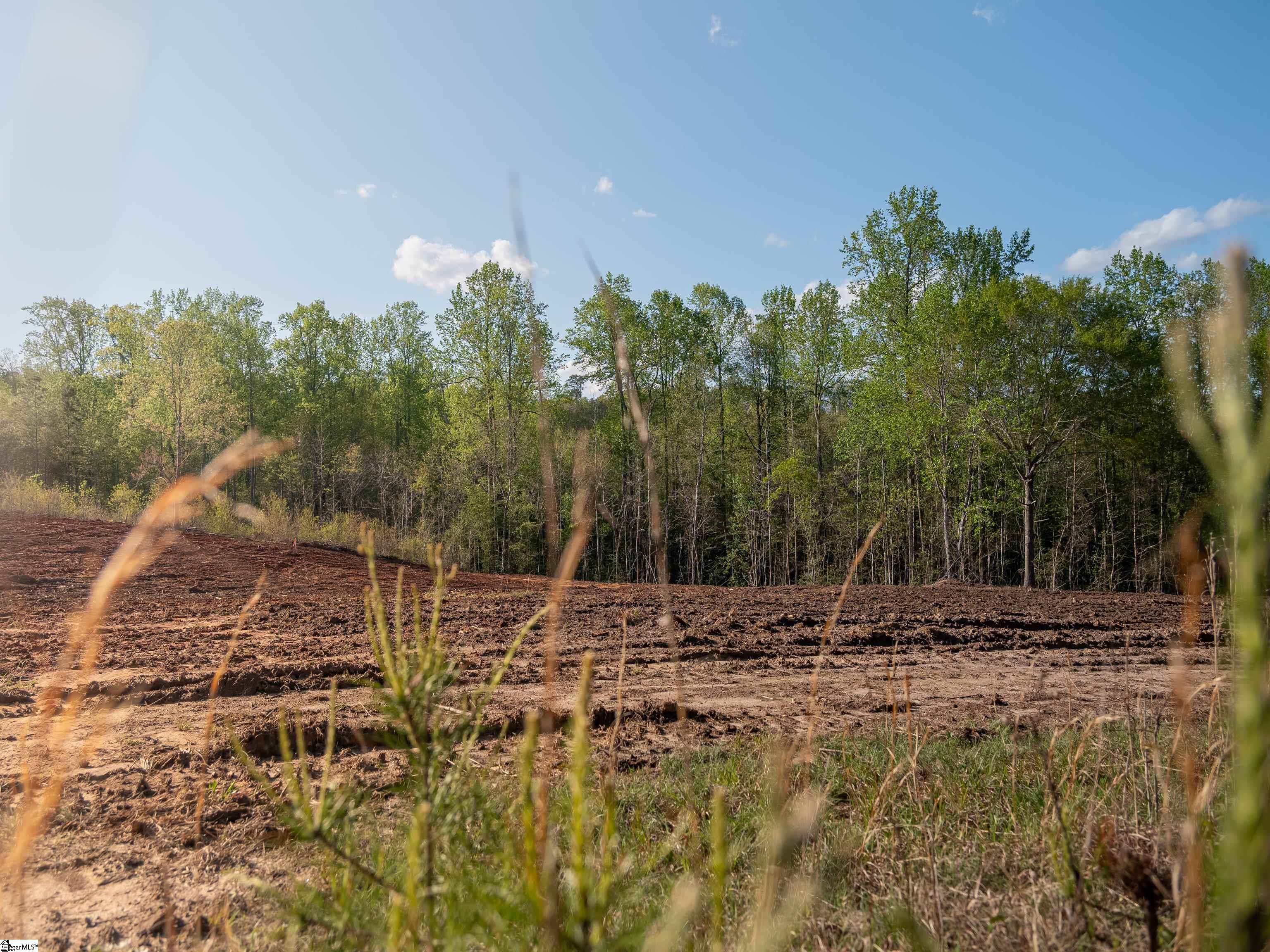 03 Hood, Easley, South Carolina image 13
