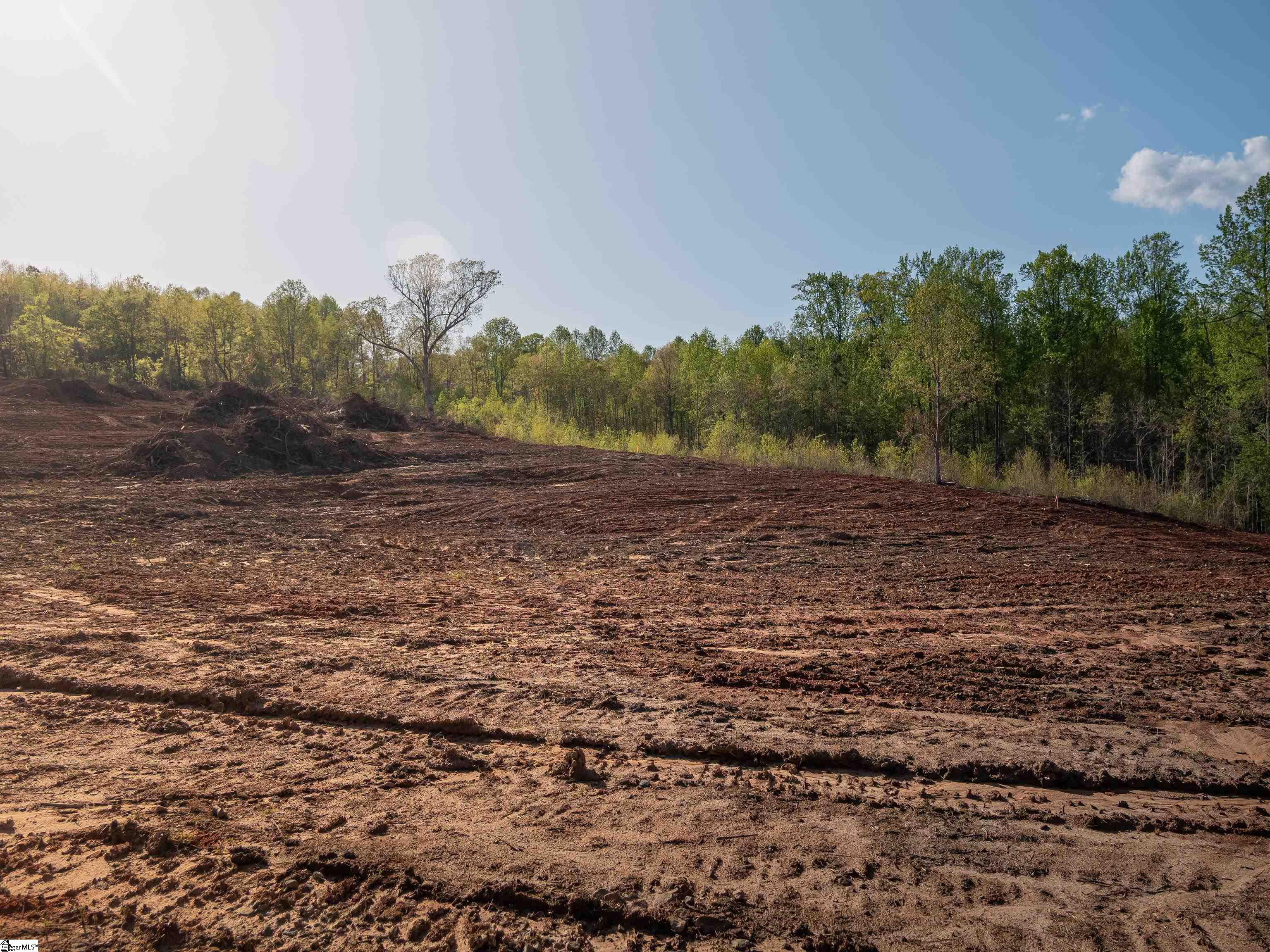 03 Hood, Easley, South Carolina image 14