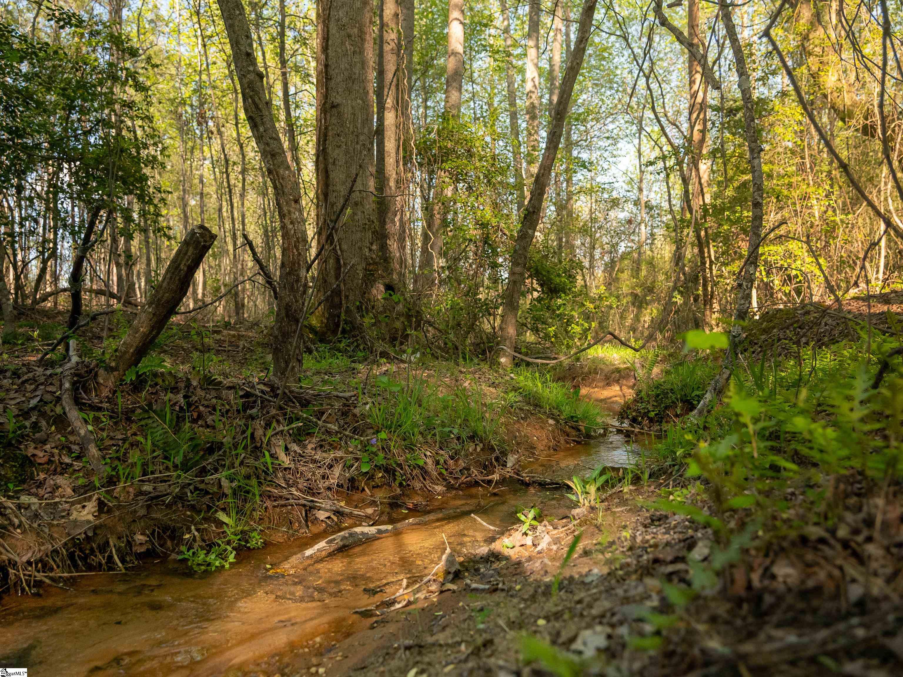 03 Hood, Easley, South Carolina image 21