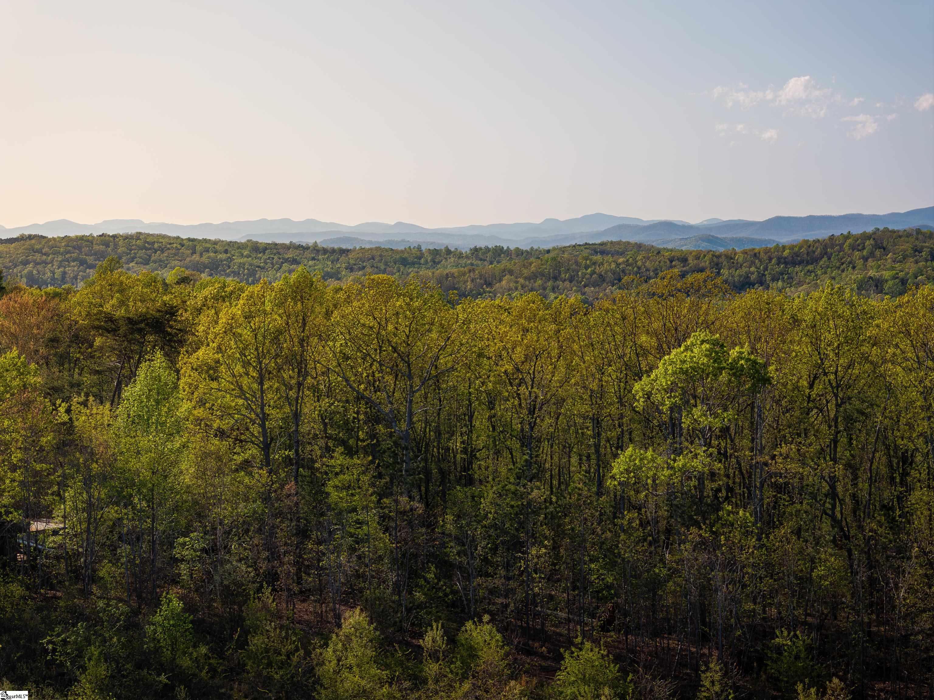 03 Hood, Easley, South Carolina image 35