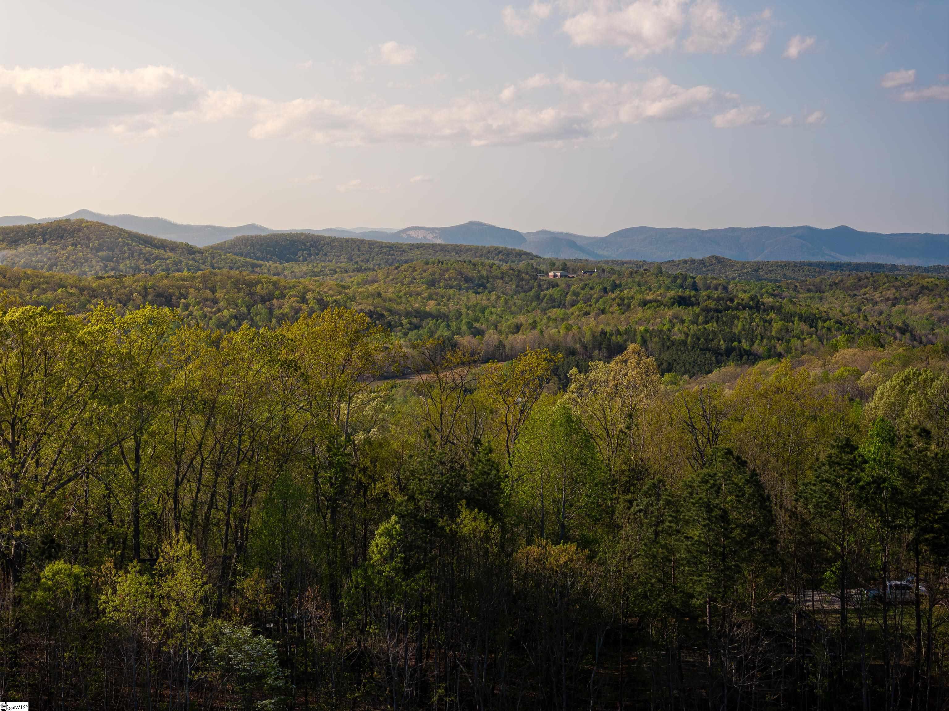 05 Hood, Easley, South Carolina image 34