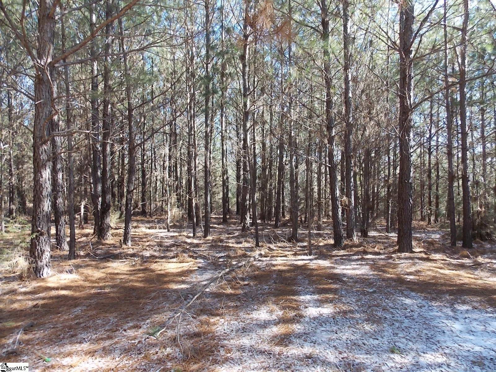 00 Carrington, Starr, South Carolina image 2