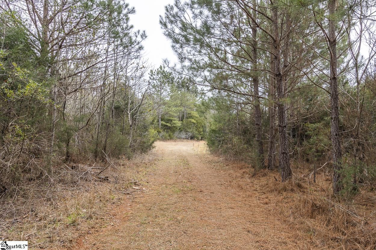 00 Carrington, Starr, South Carolina image 12