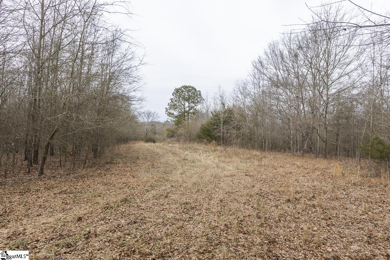 00 Carrington, Starr, South Carolina image 7