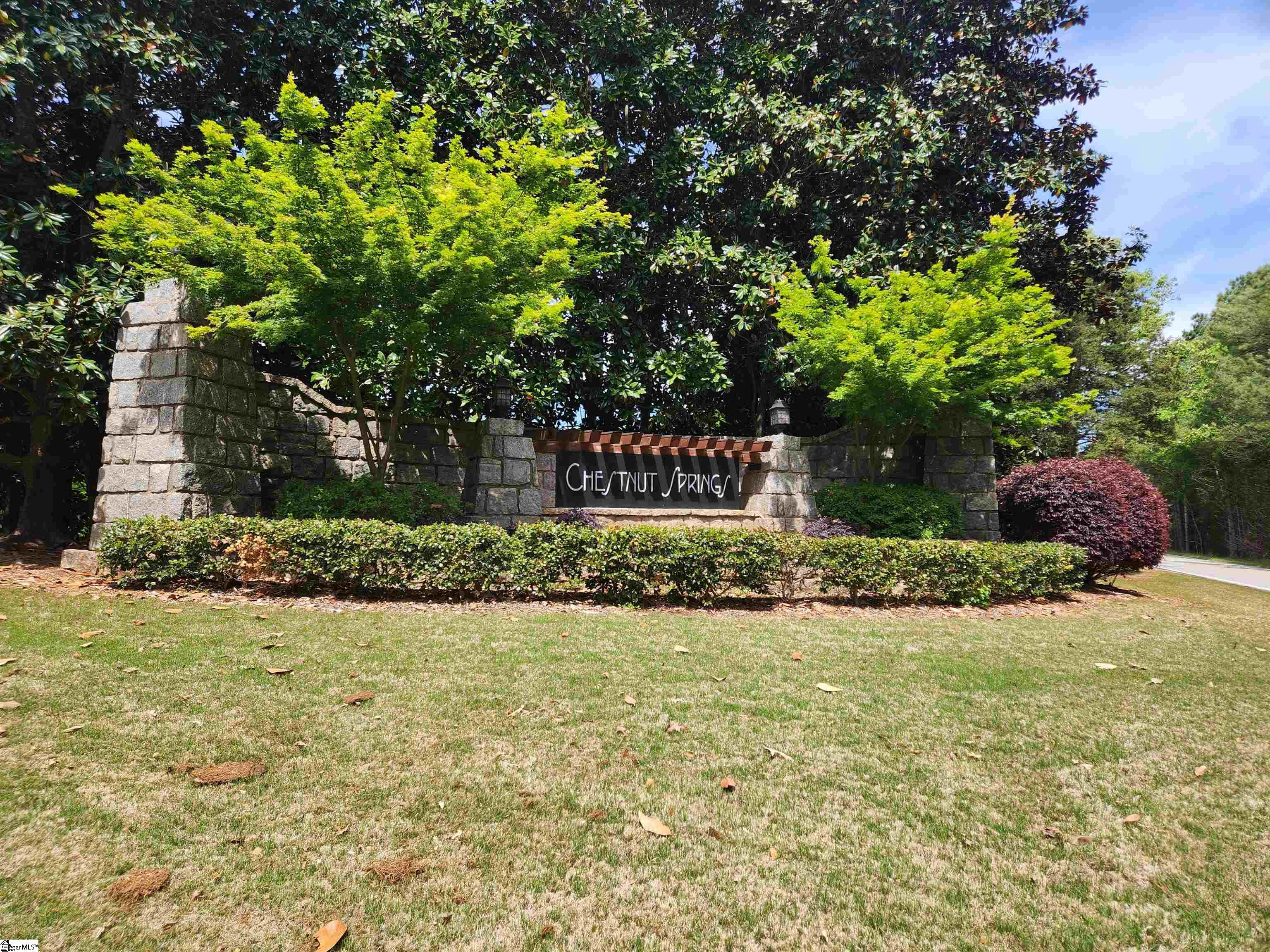 220 Chestnut Springs, Williamston, South Carolina image 2