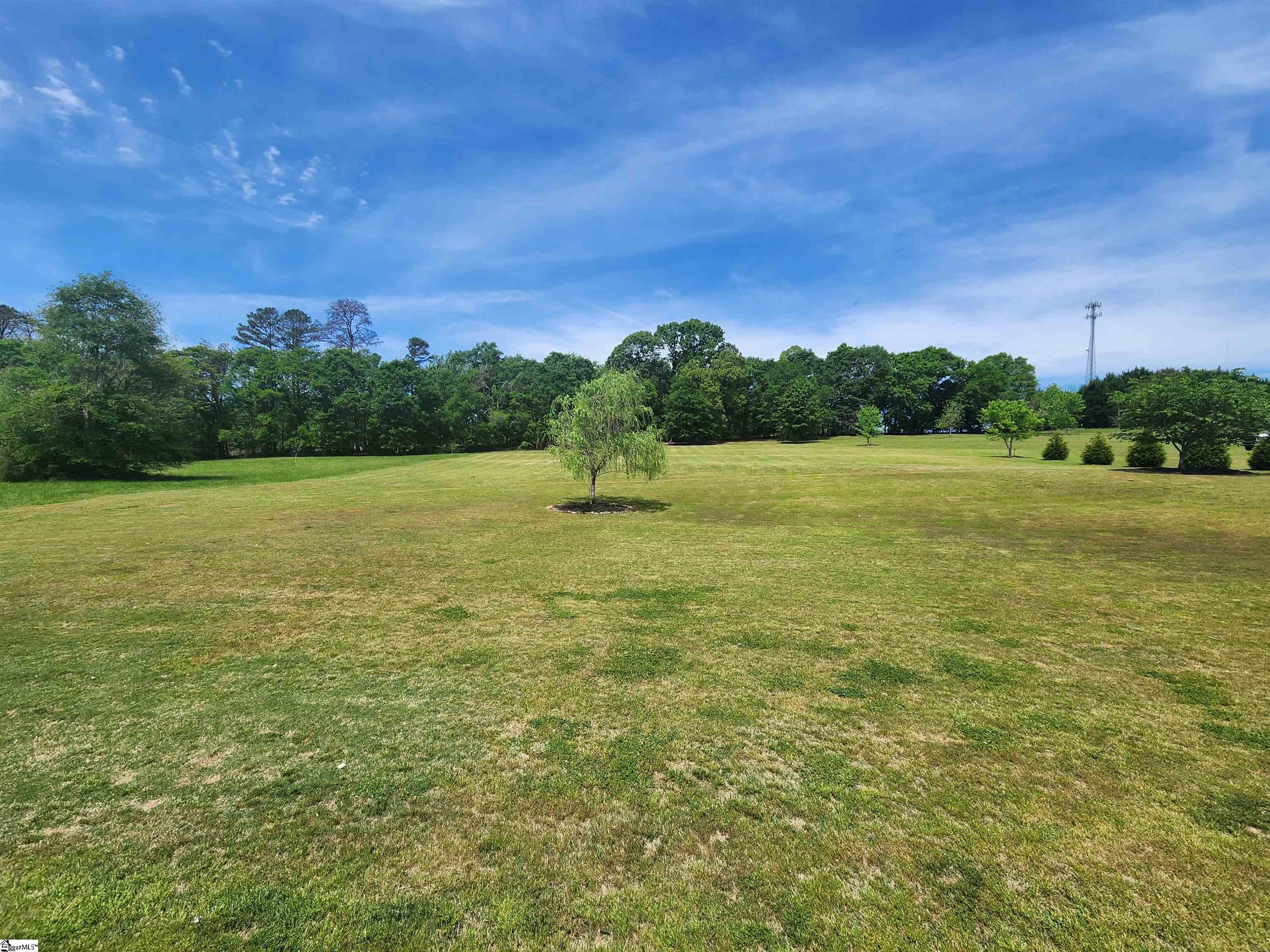 220 Chestnut Springs, Williamston, South Carolina image 13