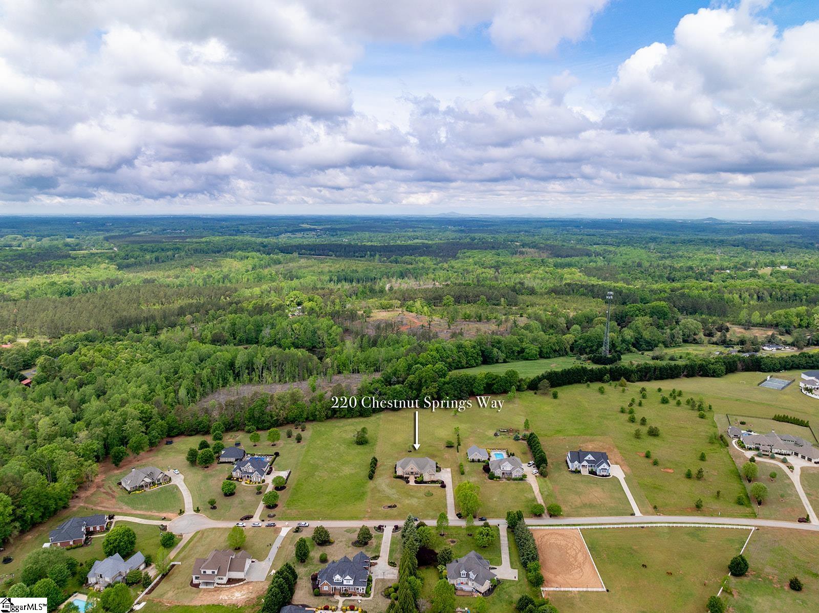 220 Chestnut Springs, Williamston, South Carolina image 15