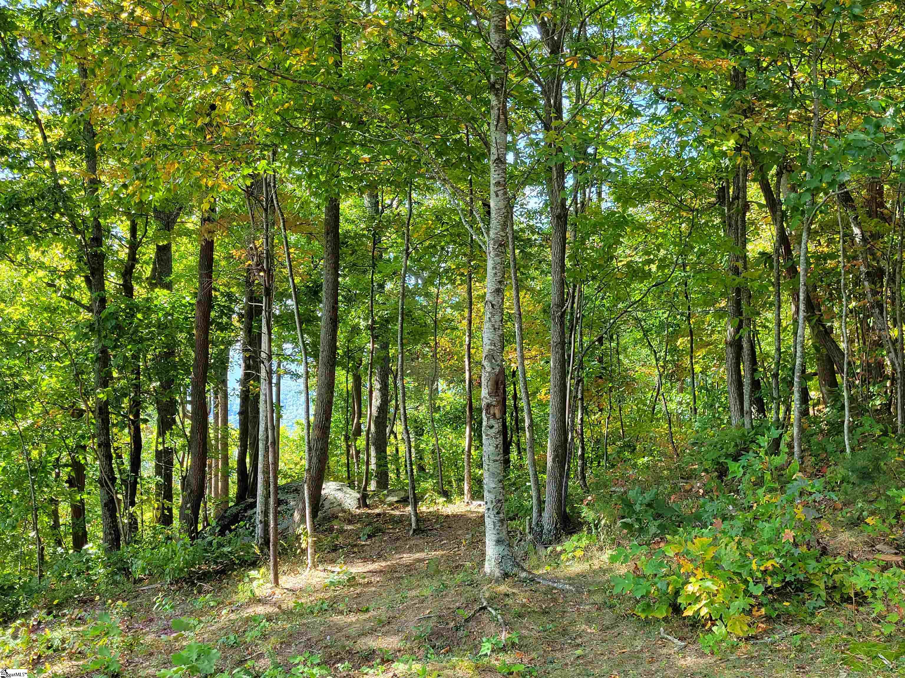8 Pine Shadow, Landrum, South Carolina image 7