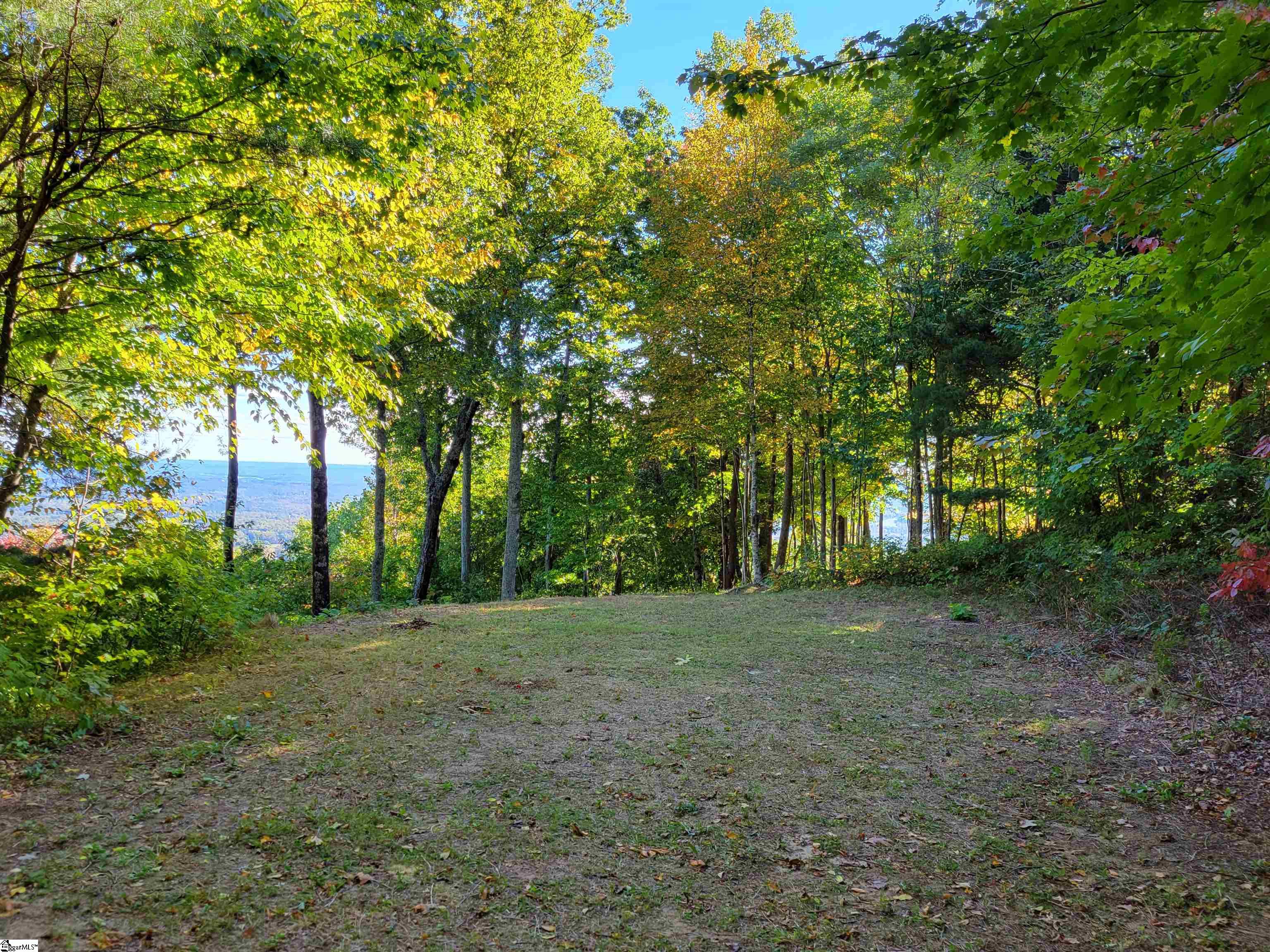 8 Pine Shadow, Landrum, South Carolina image 9