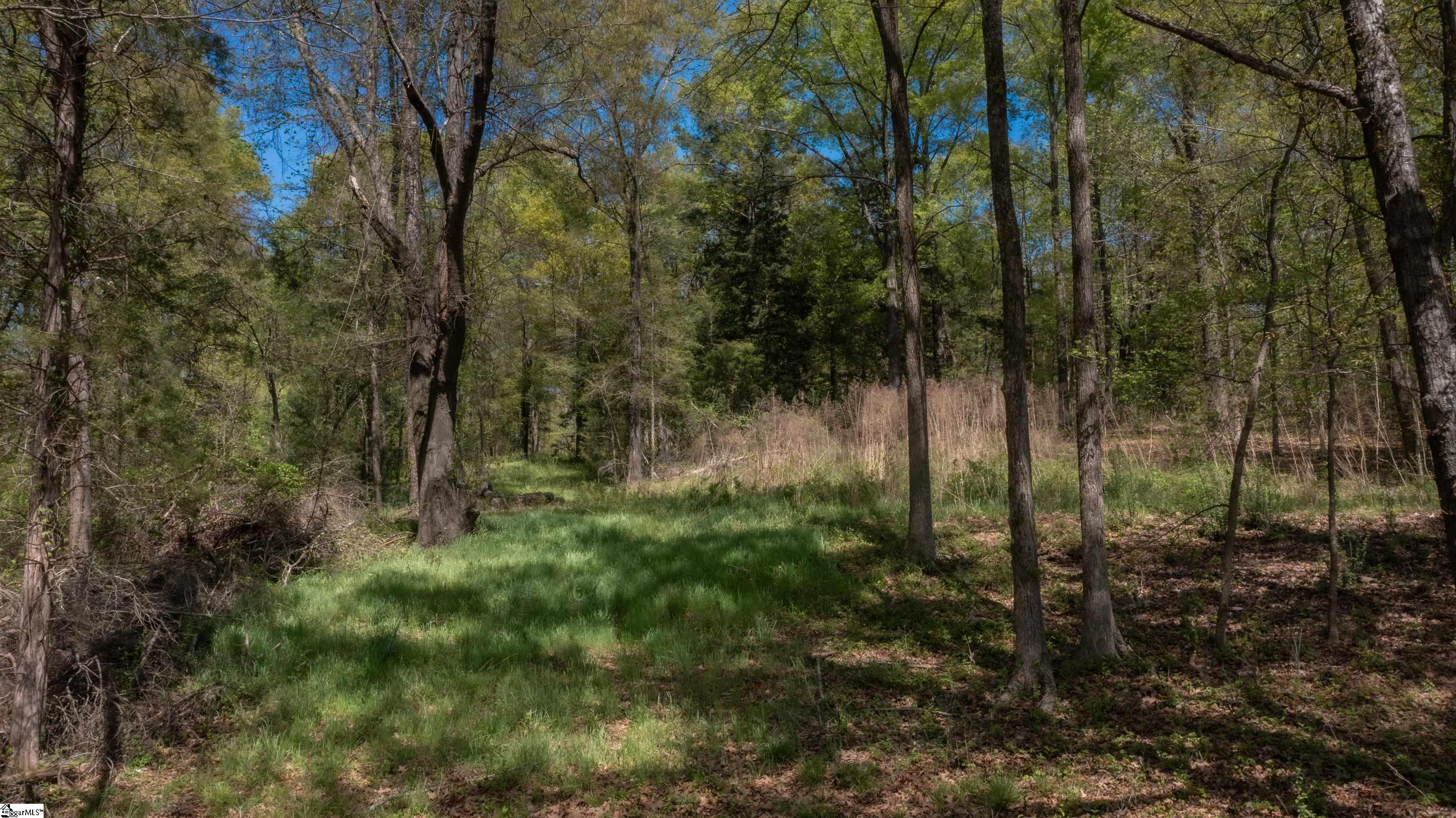 2442 Todd Quarter, Waterloo, South Carolina image 4