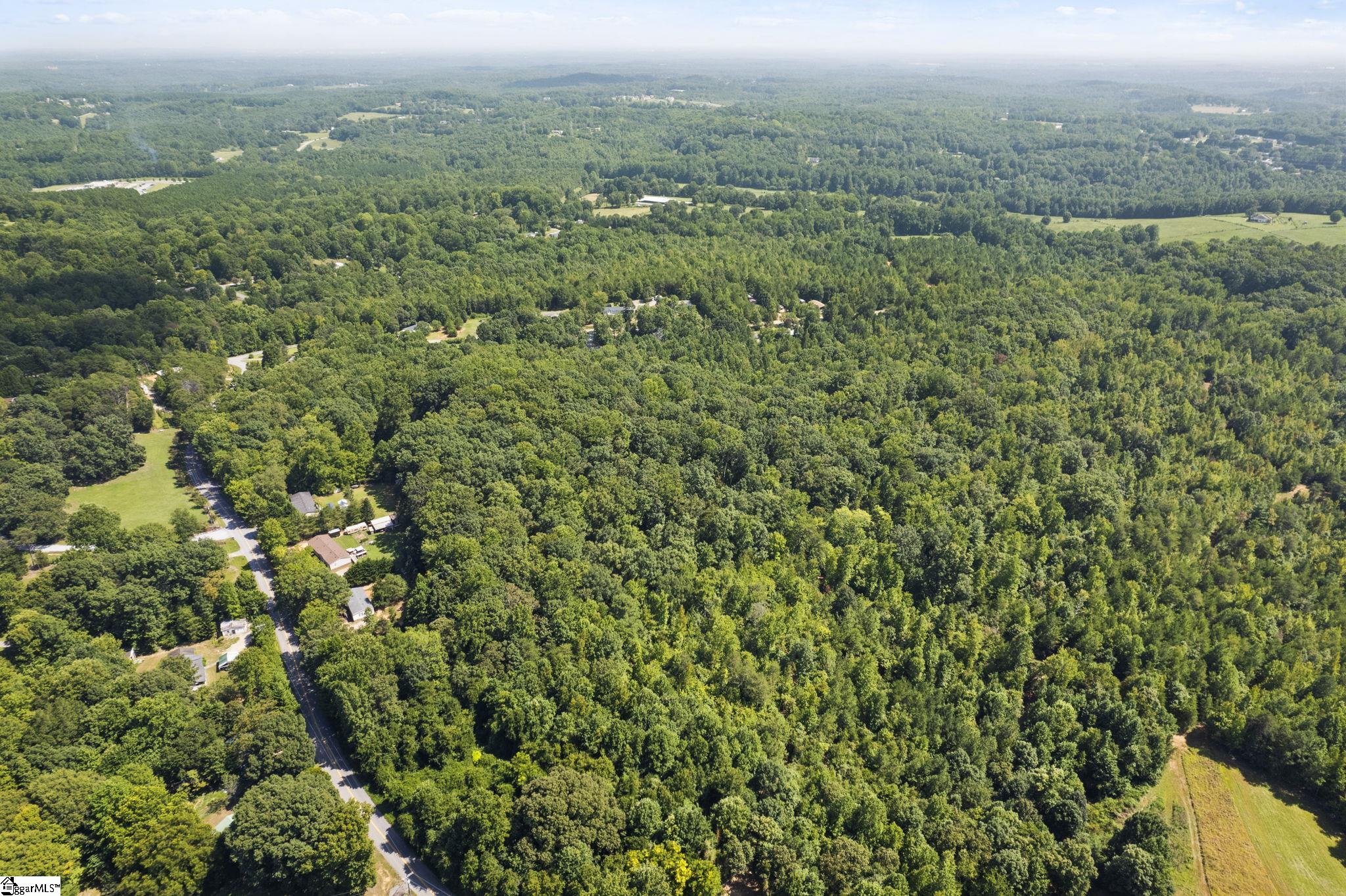 Diwa, Easley, South Carolina image 16