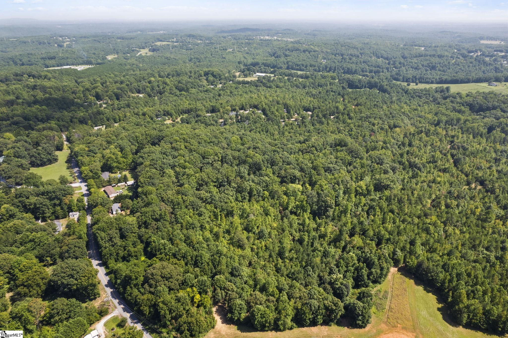 Diwa, Easley, South Carolina image 17
