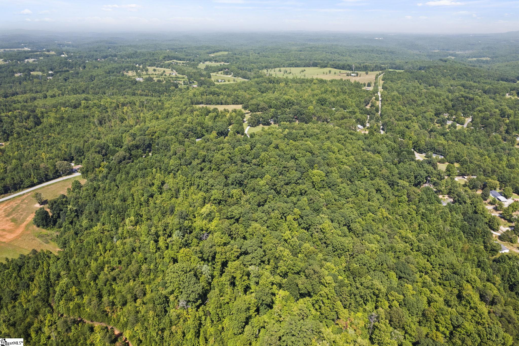 Diwa, Easley, South Carolina image 19