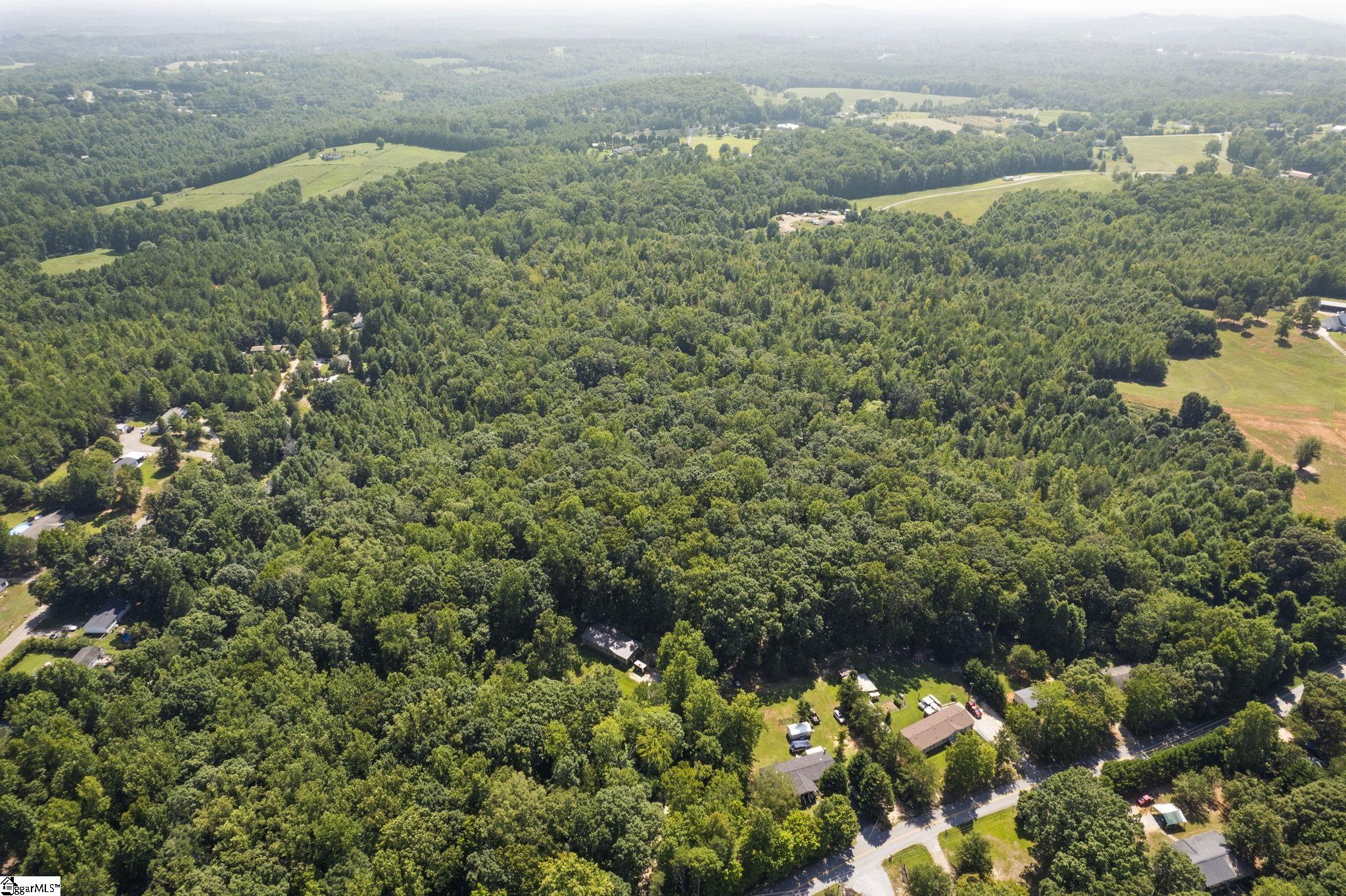 Diwa, Easley, South Carolina image 21