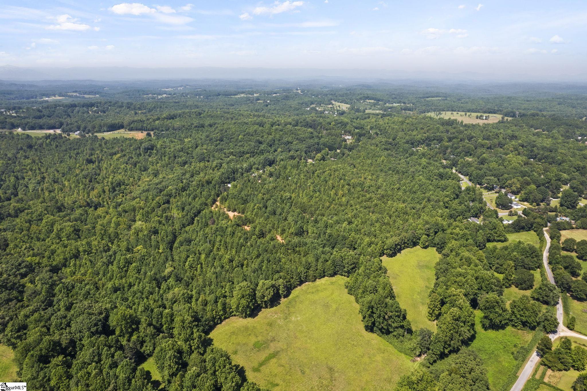 Diwa, Easley, South Carolina image 4