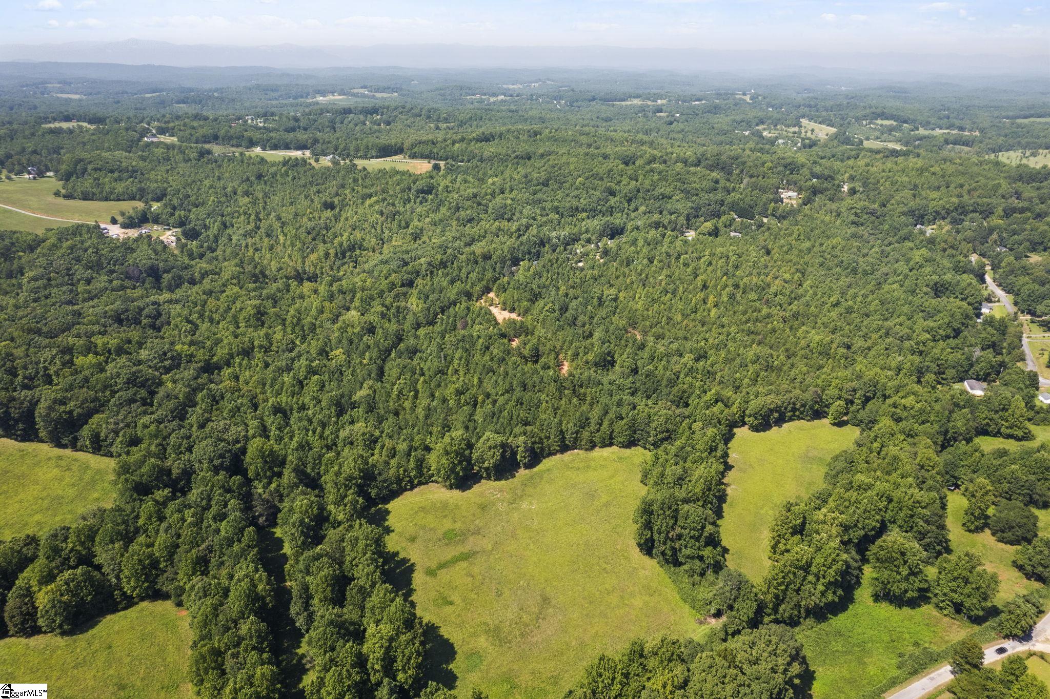 Diwa, Easley, South Carolina image 5