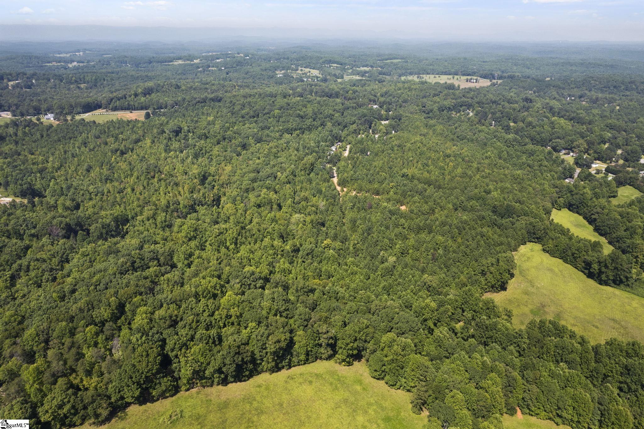 Diwa, Easley, South Carolina image 6