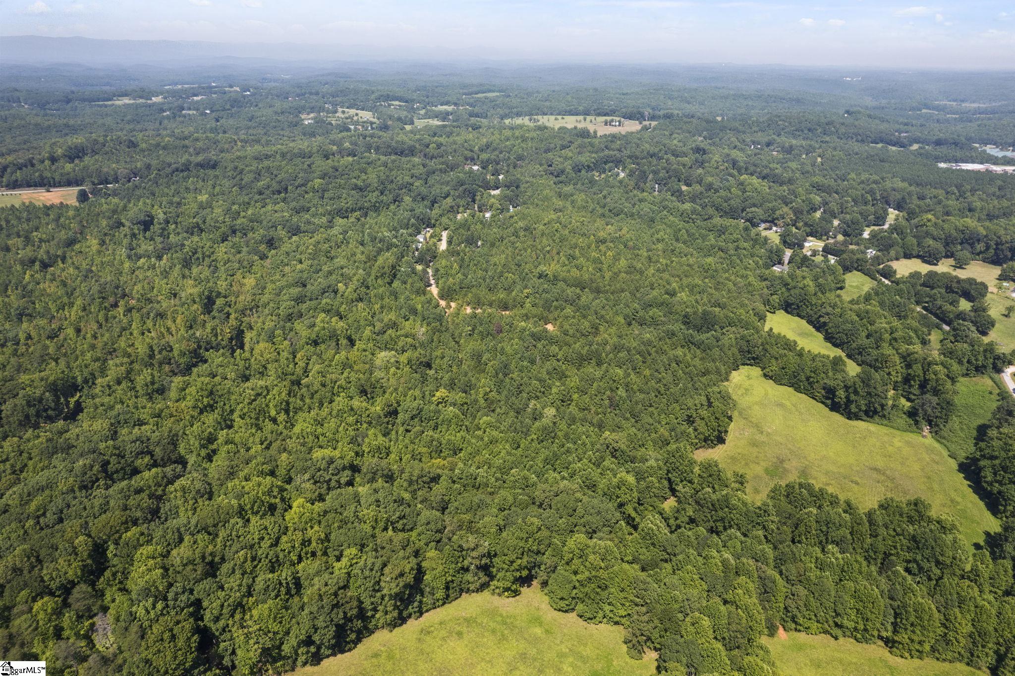 Diwa, Easley, South Carolina image 7