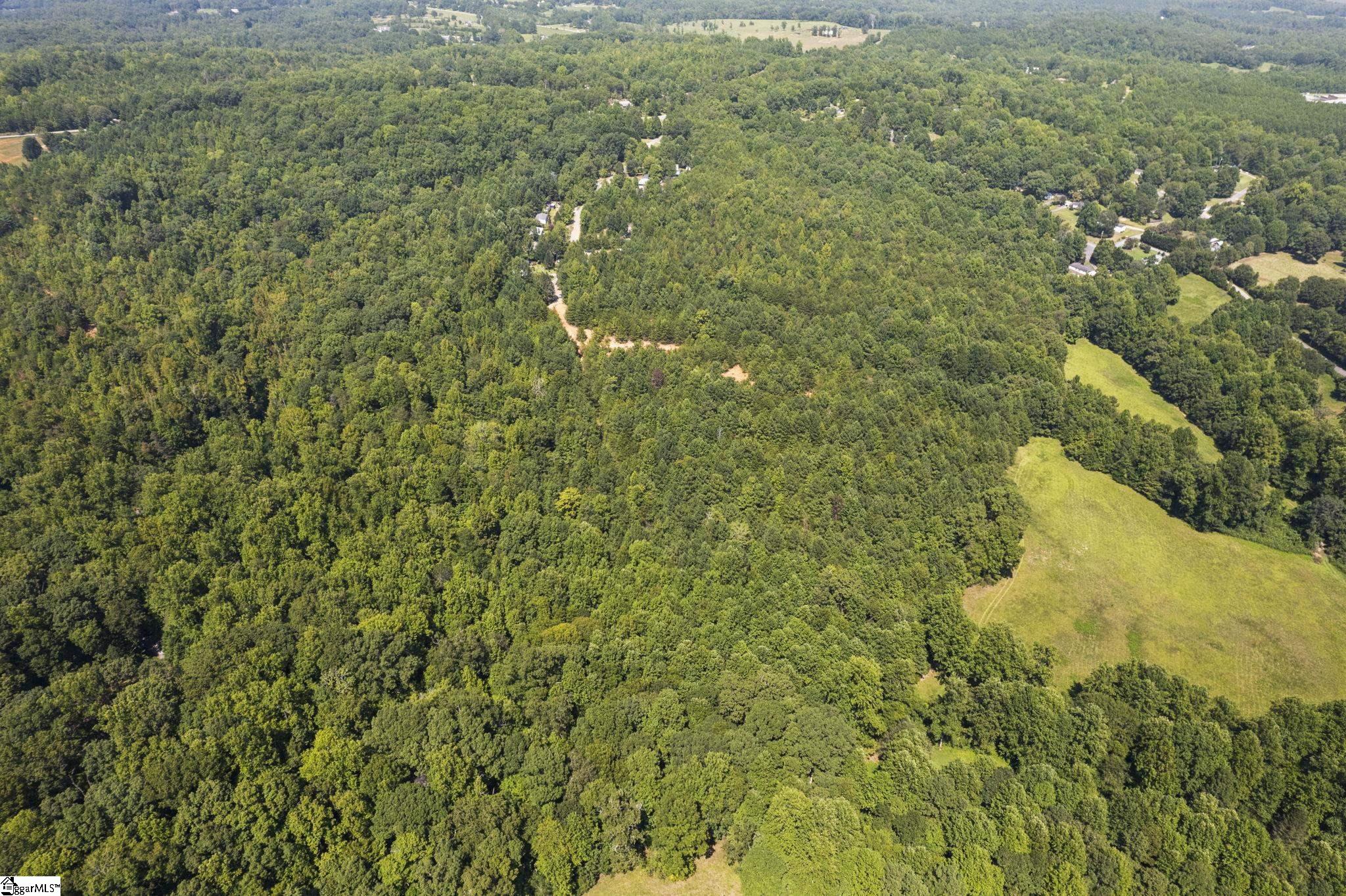 Diwa, Easley, South Carolina image 8