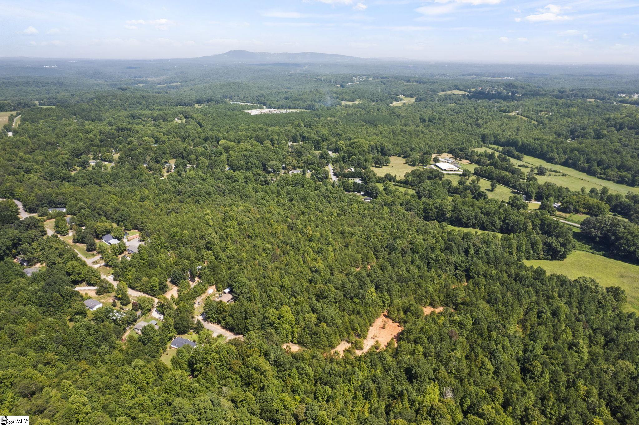 Diwa, Easley, South Carolina image 9