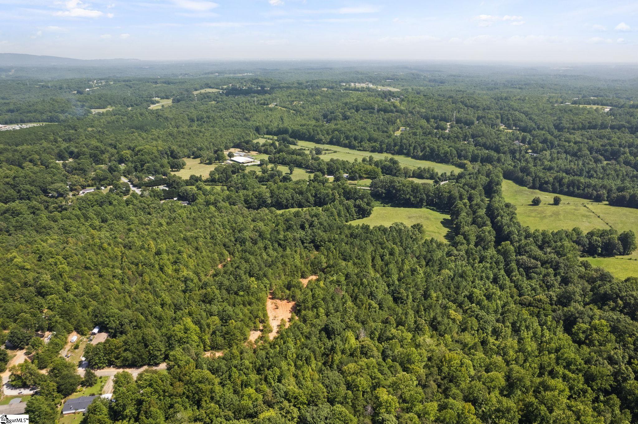Diwa, Easley, South Carolina image 10