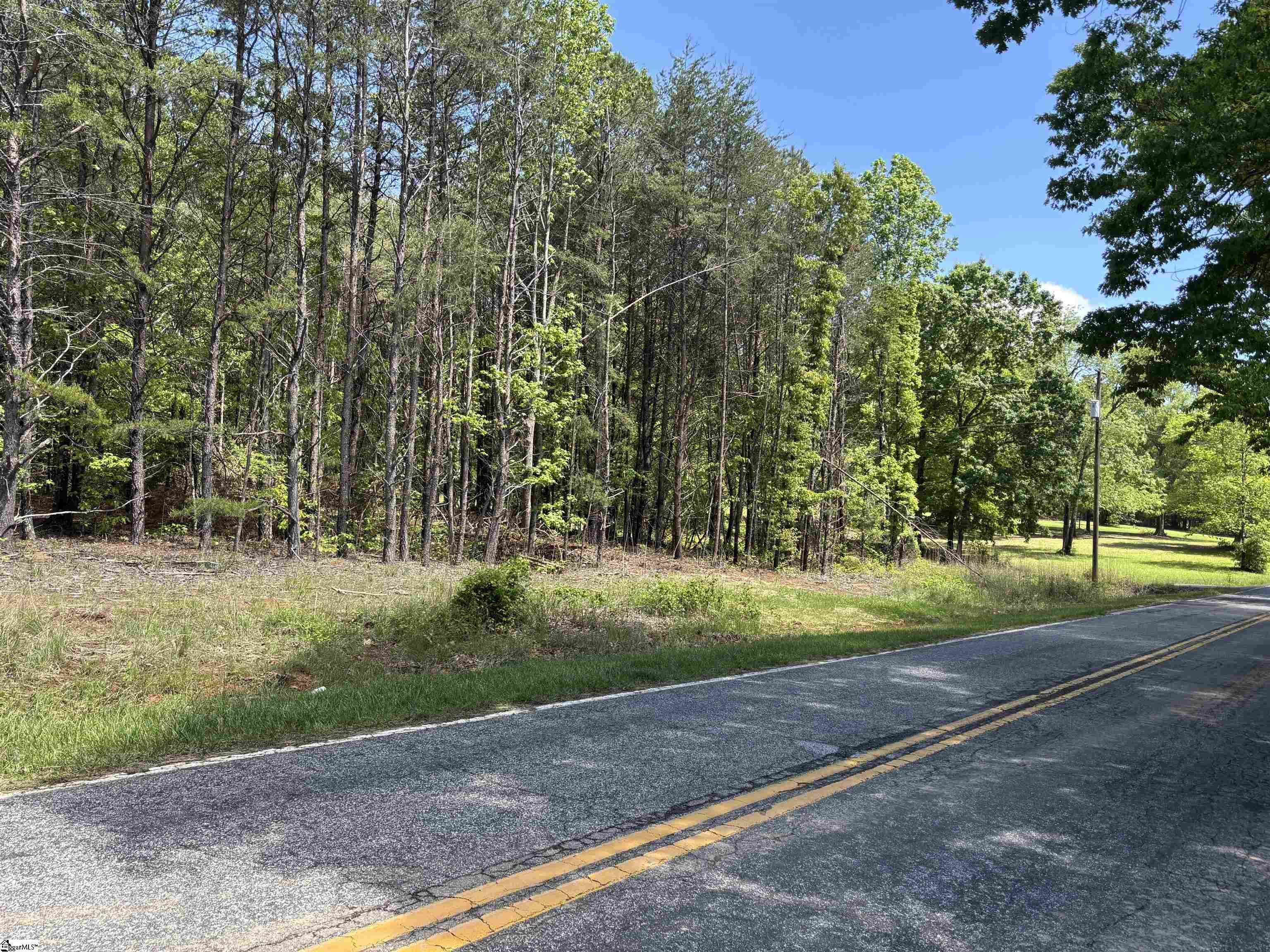 1940 Pleasant Hill, Greer, South Carolina image 2