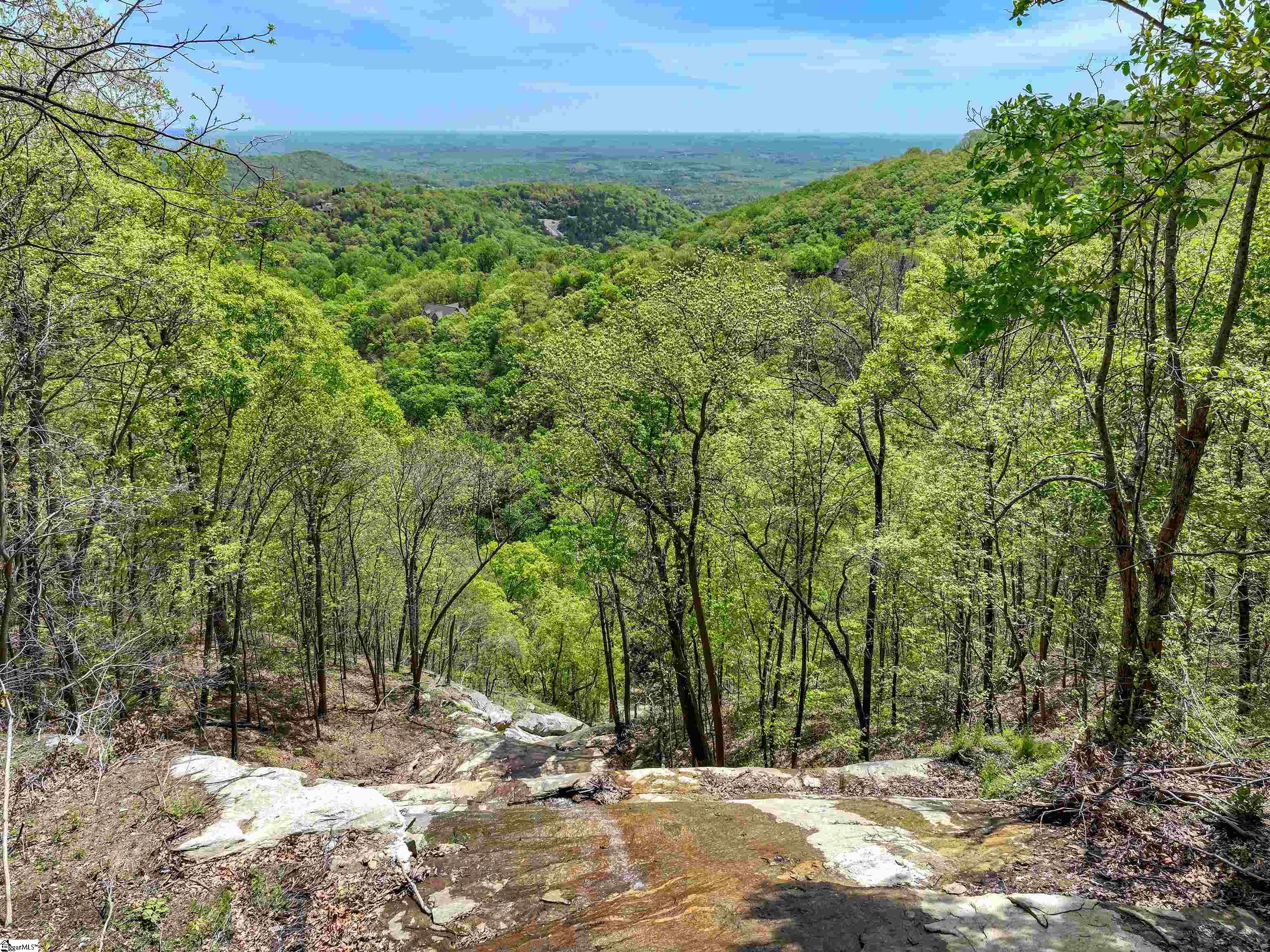 11 Moss Falls, Landrum, South Carolina image 45