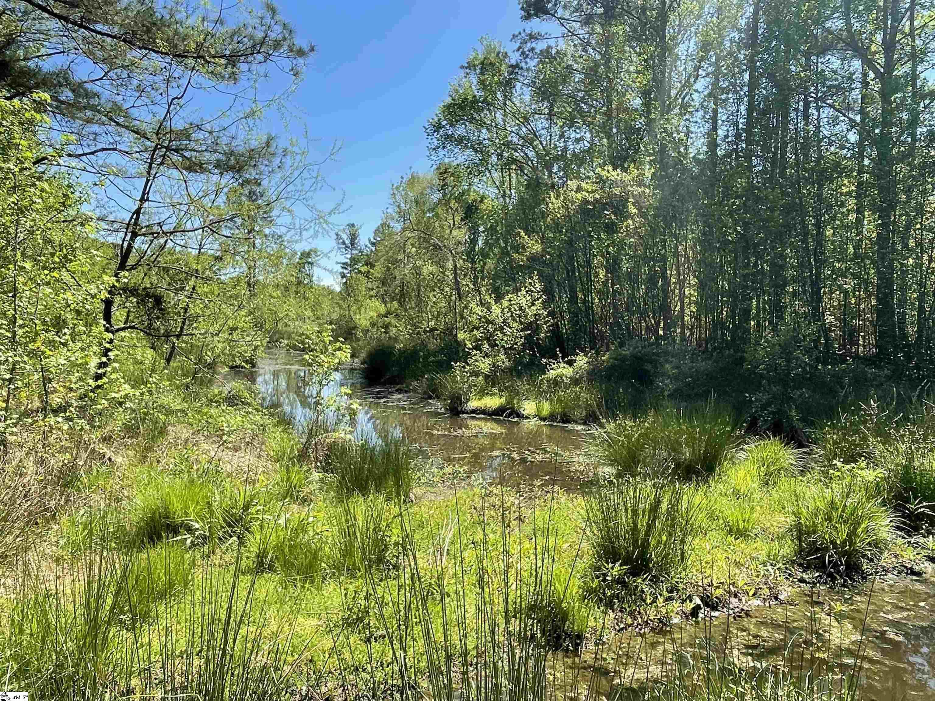 440 Mt. Carmel, Abbeville, South Carolina image 2