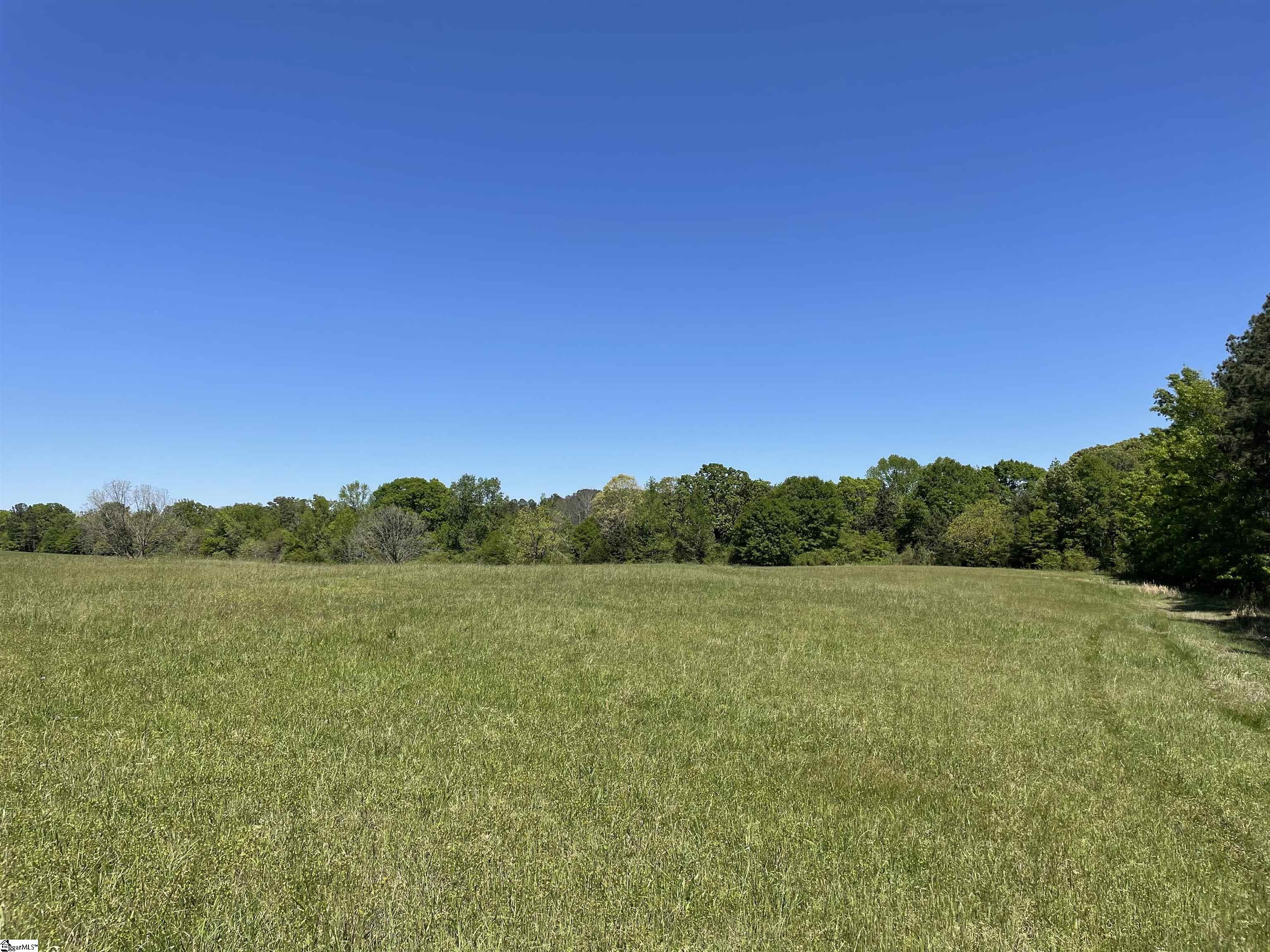 440 Mt. Carmel, Abbeville, South Carolina image 12