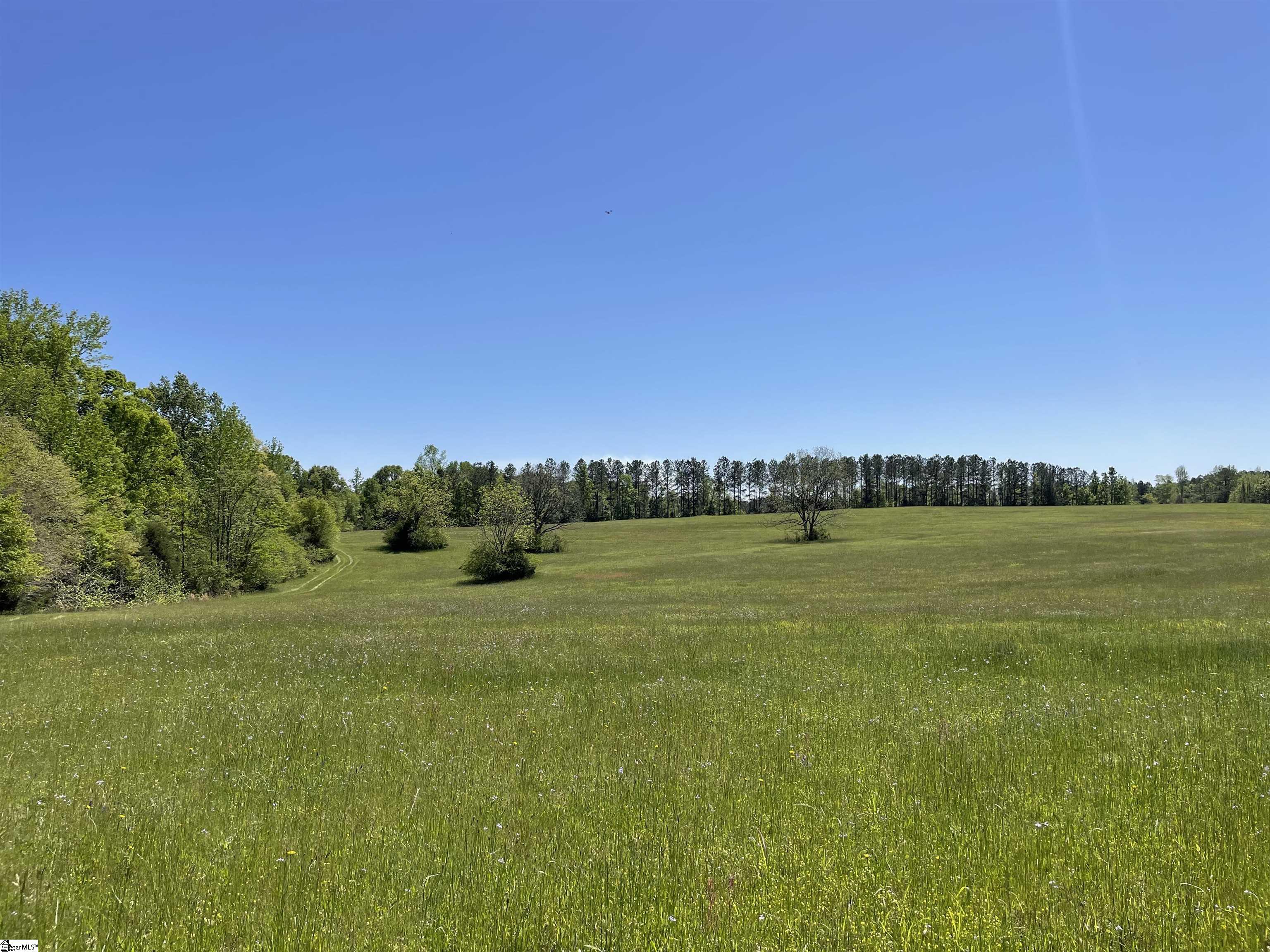 440 Mt. Carmel, Abbeville, South Carolina image 13