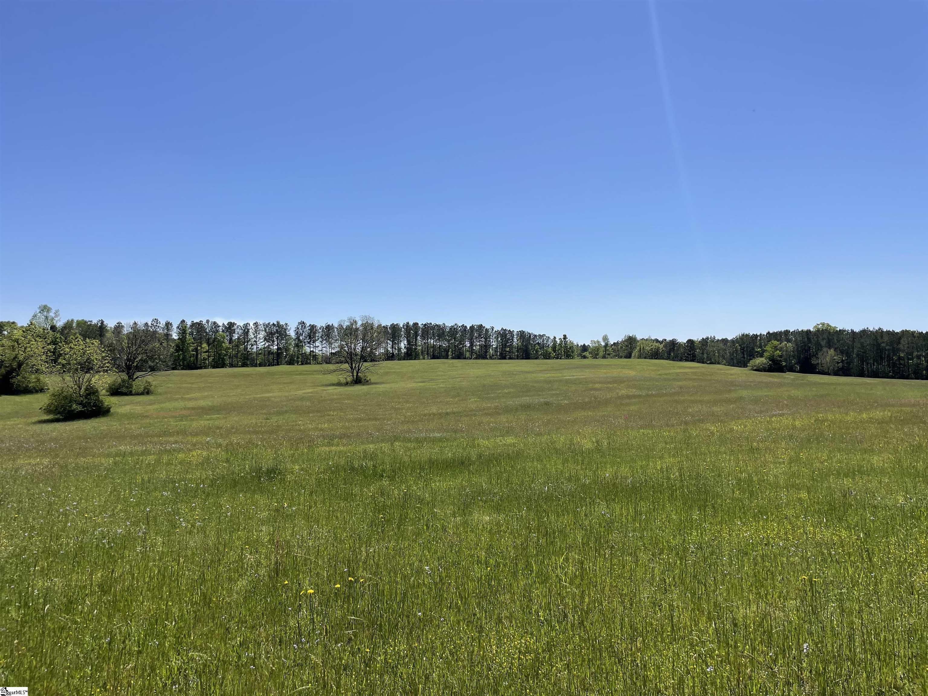 440 Mt. Carmel, Abbeville, South Carolina image 14