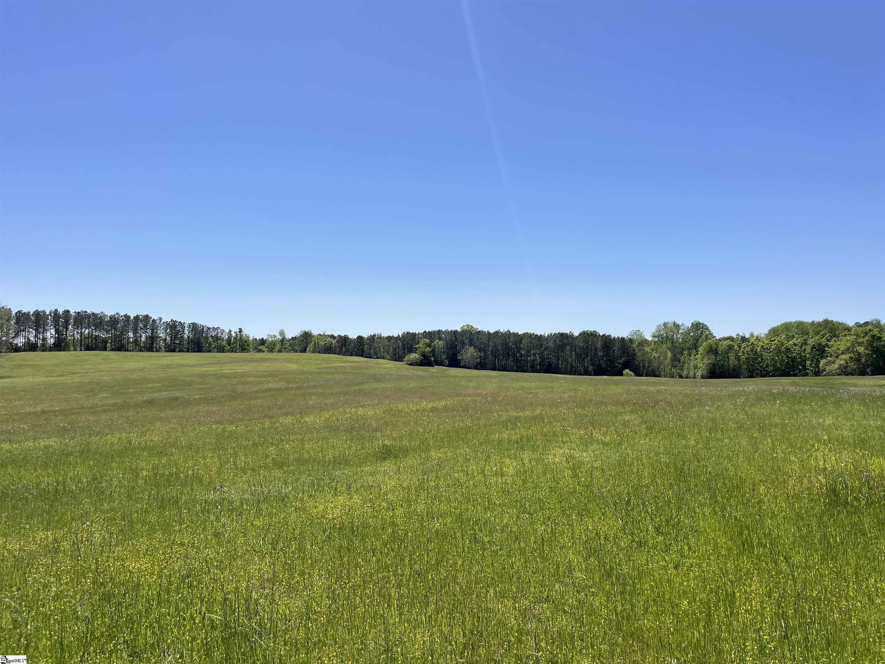 440 Mt. Carmel, Abbeville, South Carolina image 15