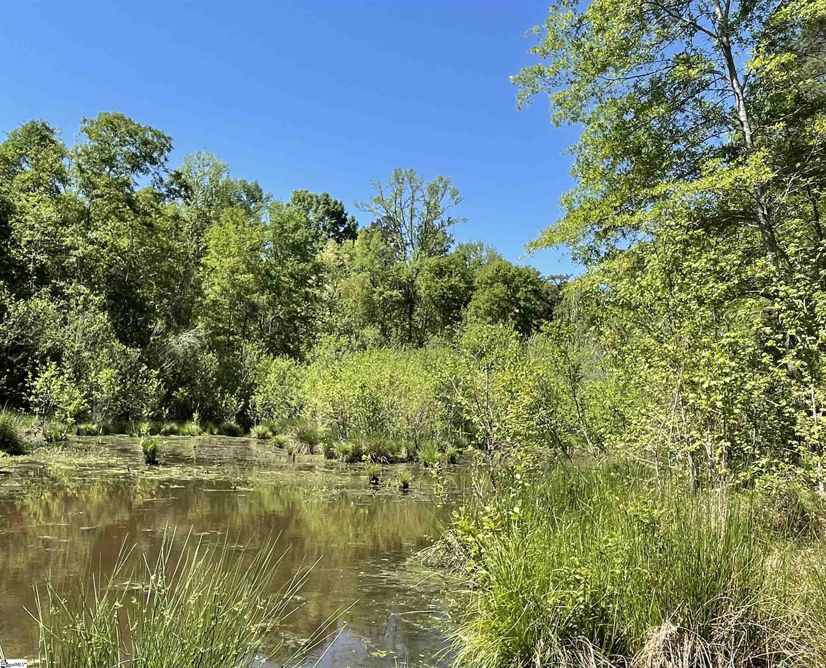 440 Mt. Carmel, Abbeville, South Carolina image 3