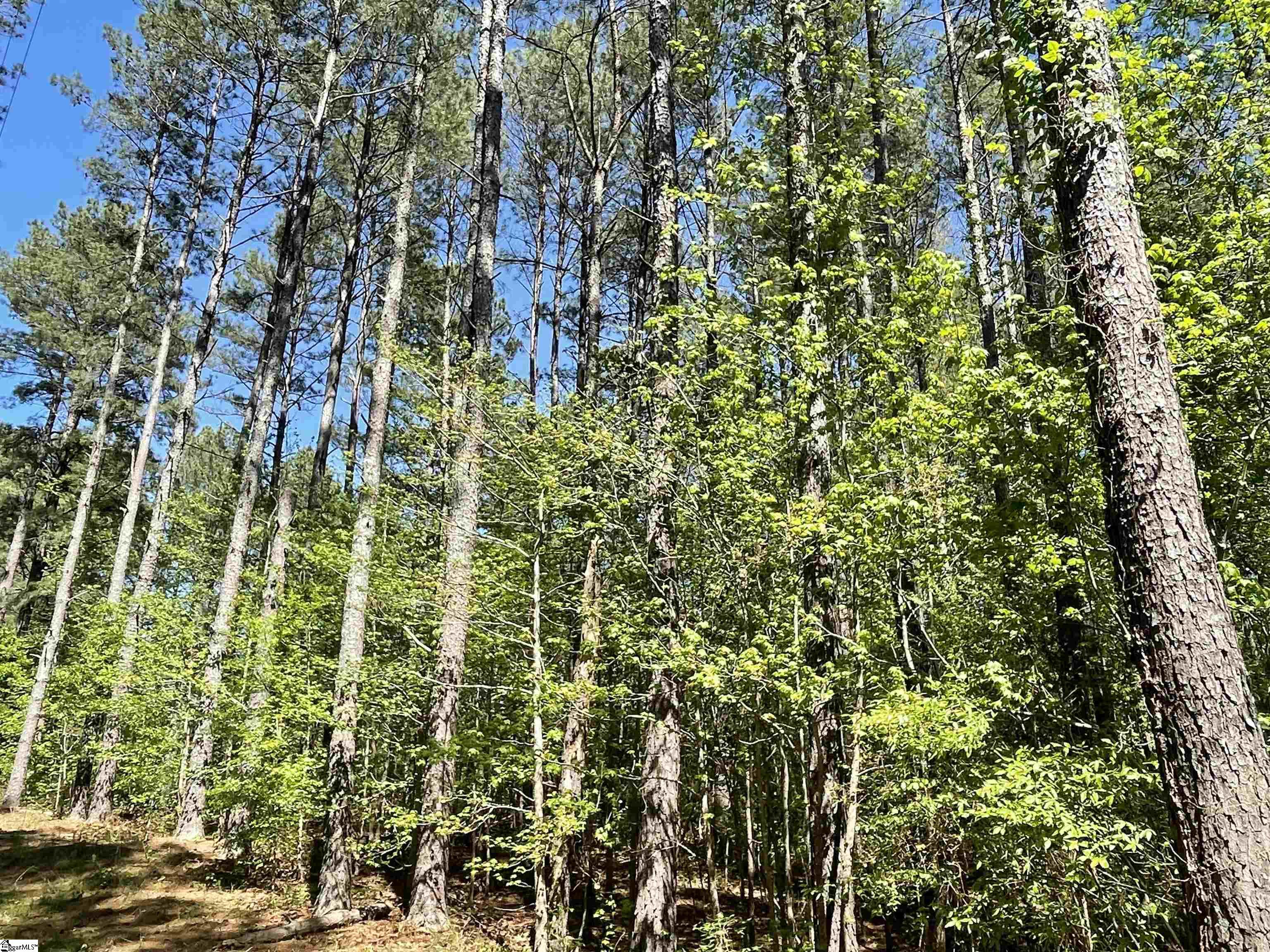 440 Mt. Carmel, Abbeville, South Carolina image 21