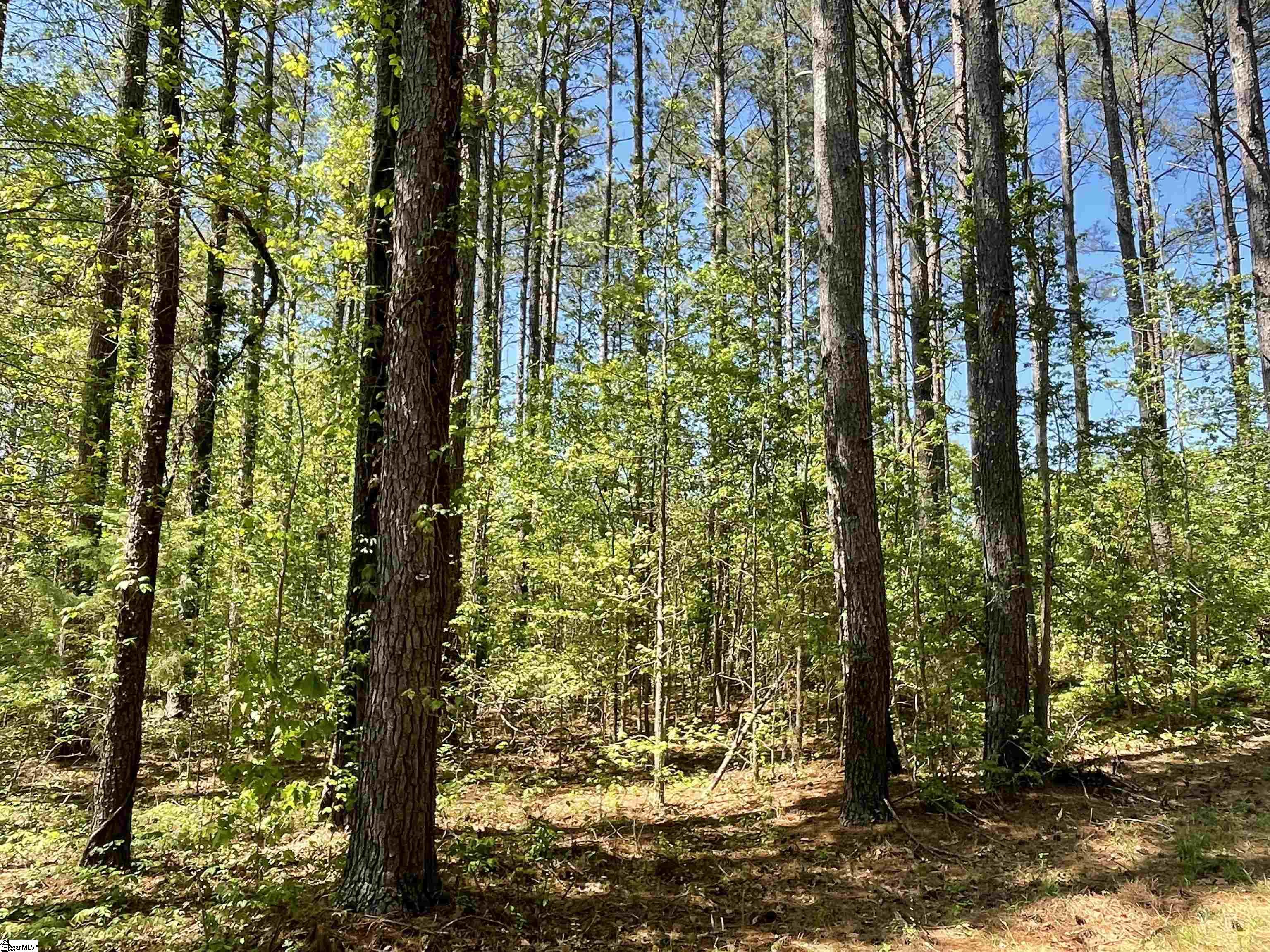 440 Mt. Carmel, Abbeville, South Carolina image 22