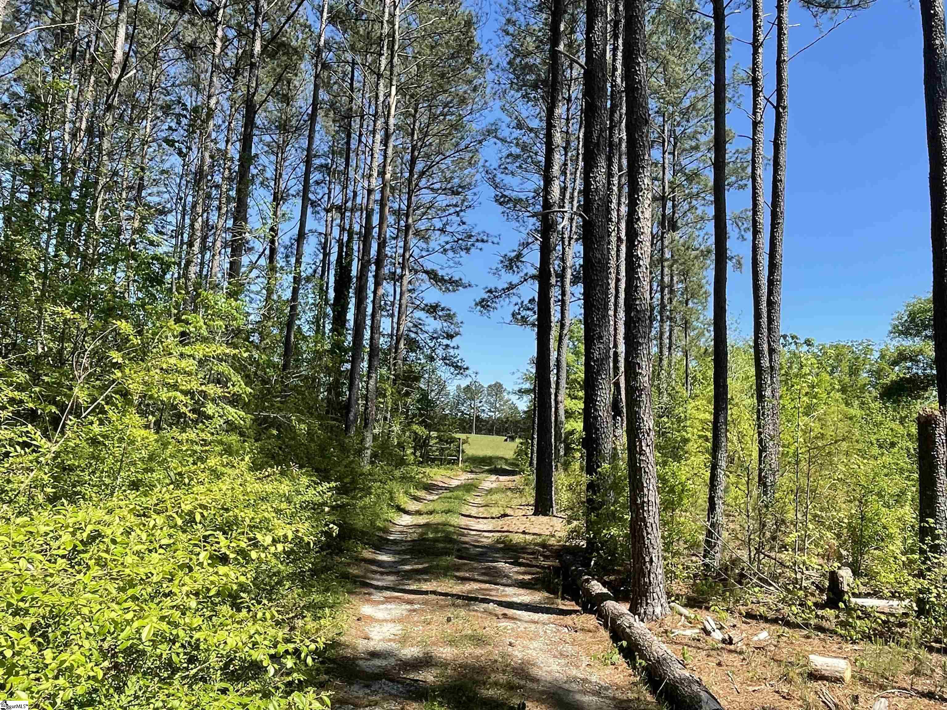 440 Mt. Carmel, Abbeville, South Carolina image 9
