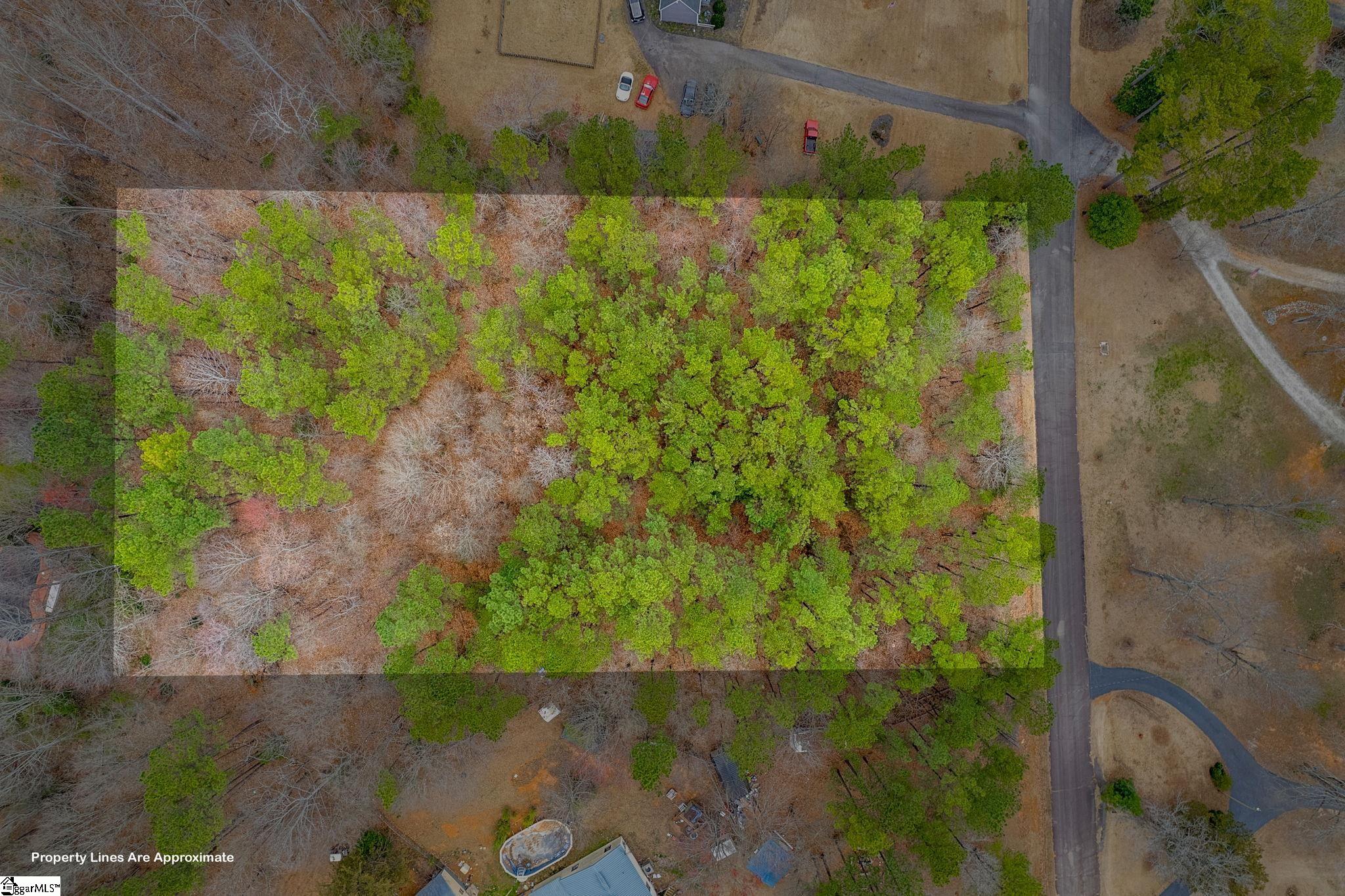 223 Huntington, Liberty, South Carolina image 3