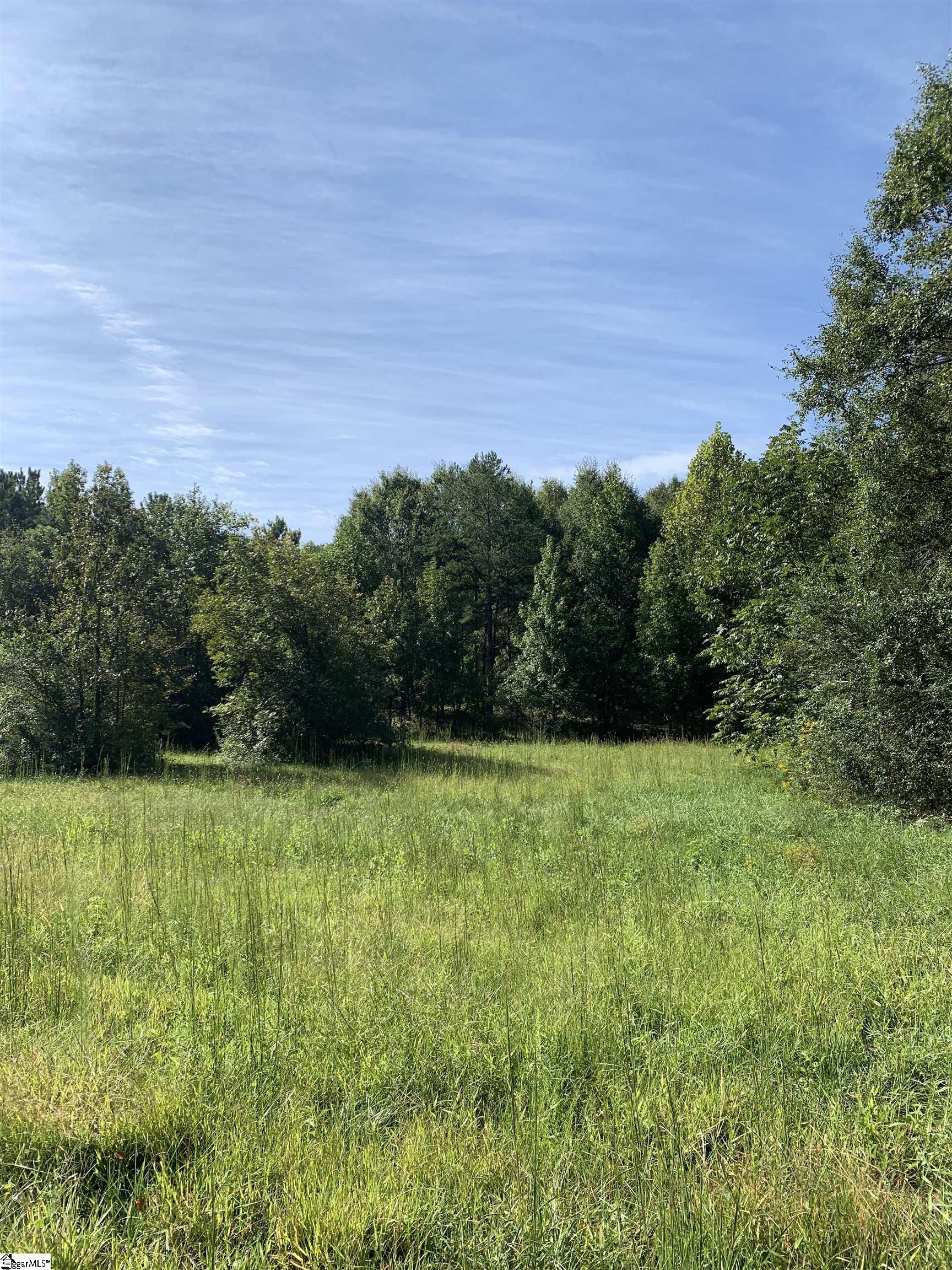 111 Cooper Lake, Simpsonville, South Carolina image 1