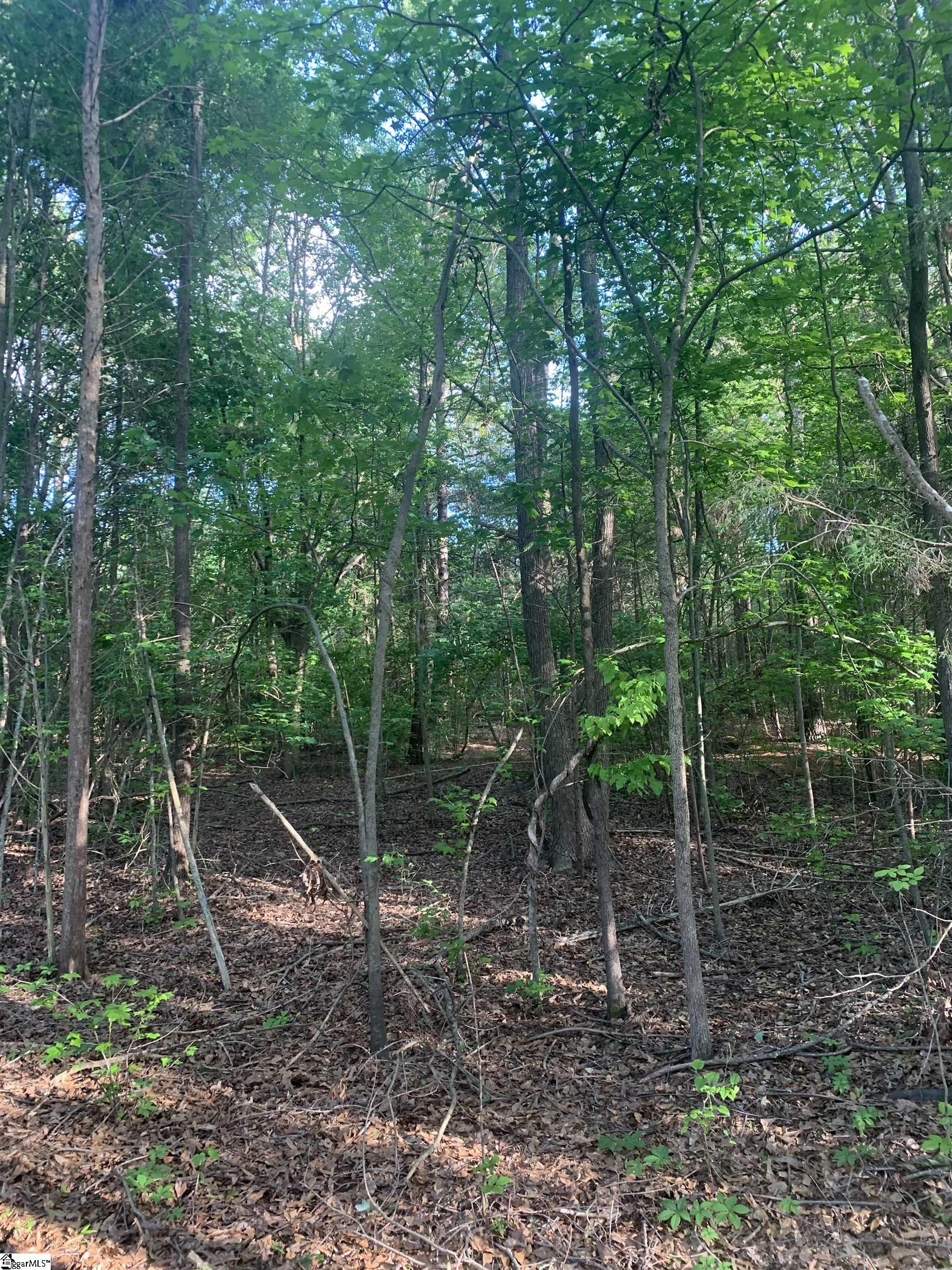 111 Cooper Lake, Simpsonville, South Carolina image 8