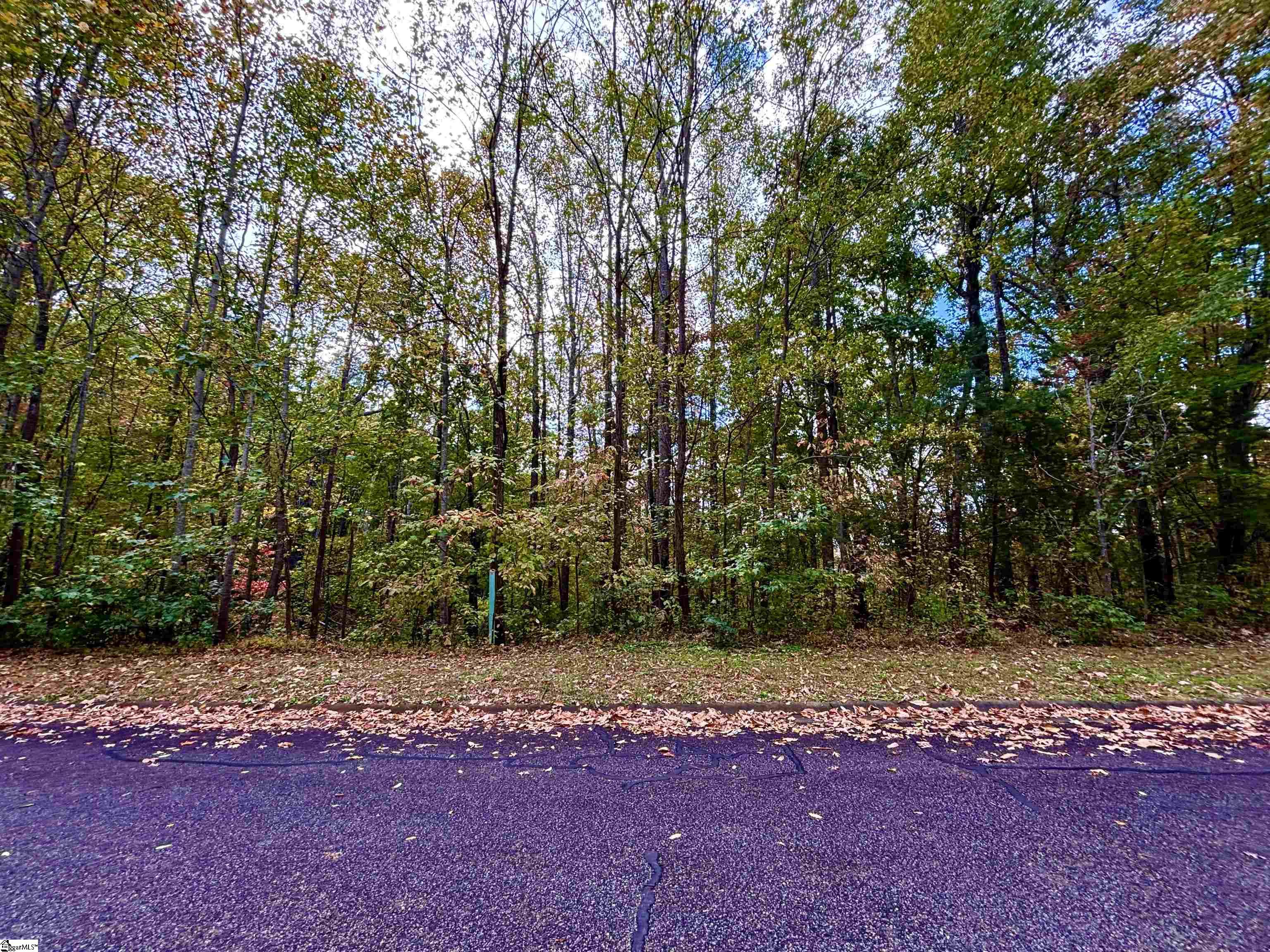313 Laurel Valley Way, Travelers Rest SC 29690