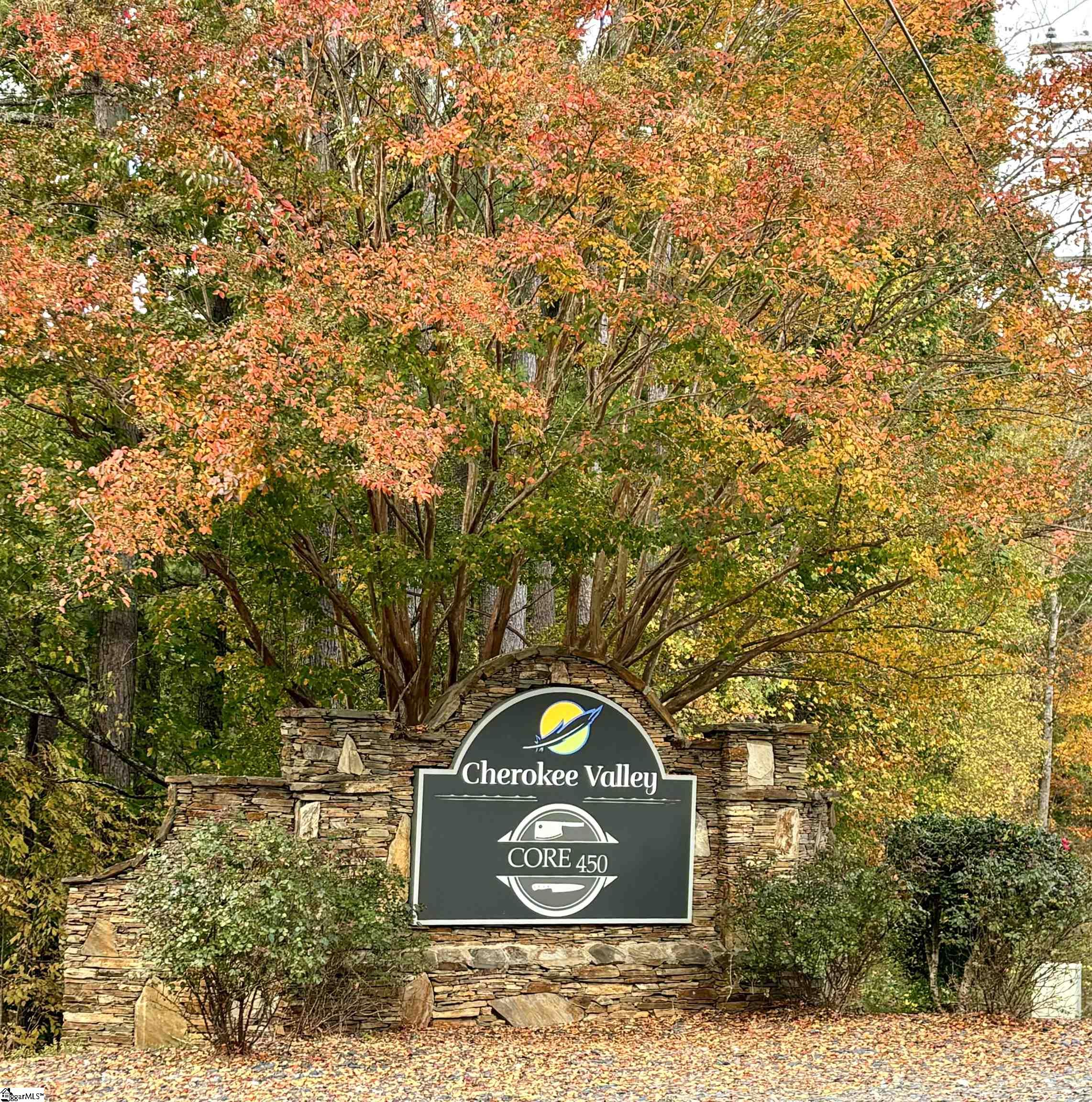313 Laurel Valley, Travelers Rest, South Carolina image 2