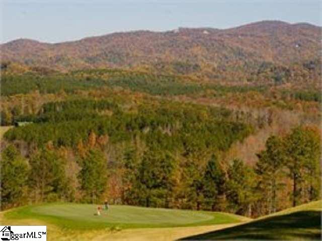 313 Laurel Valley, Travelers Rest, South Carolina image 19