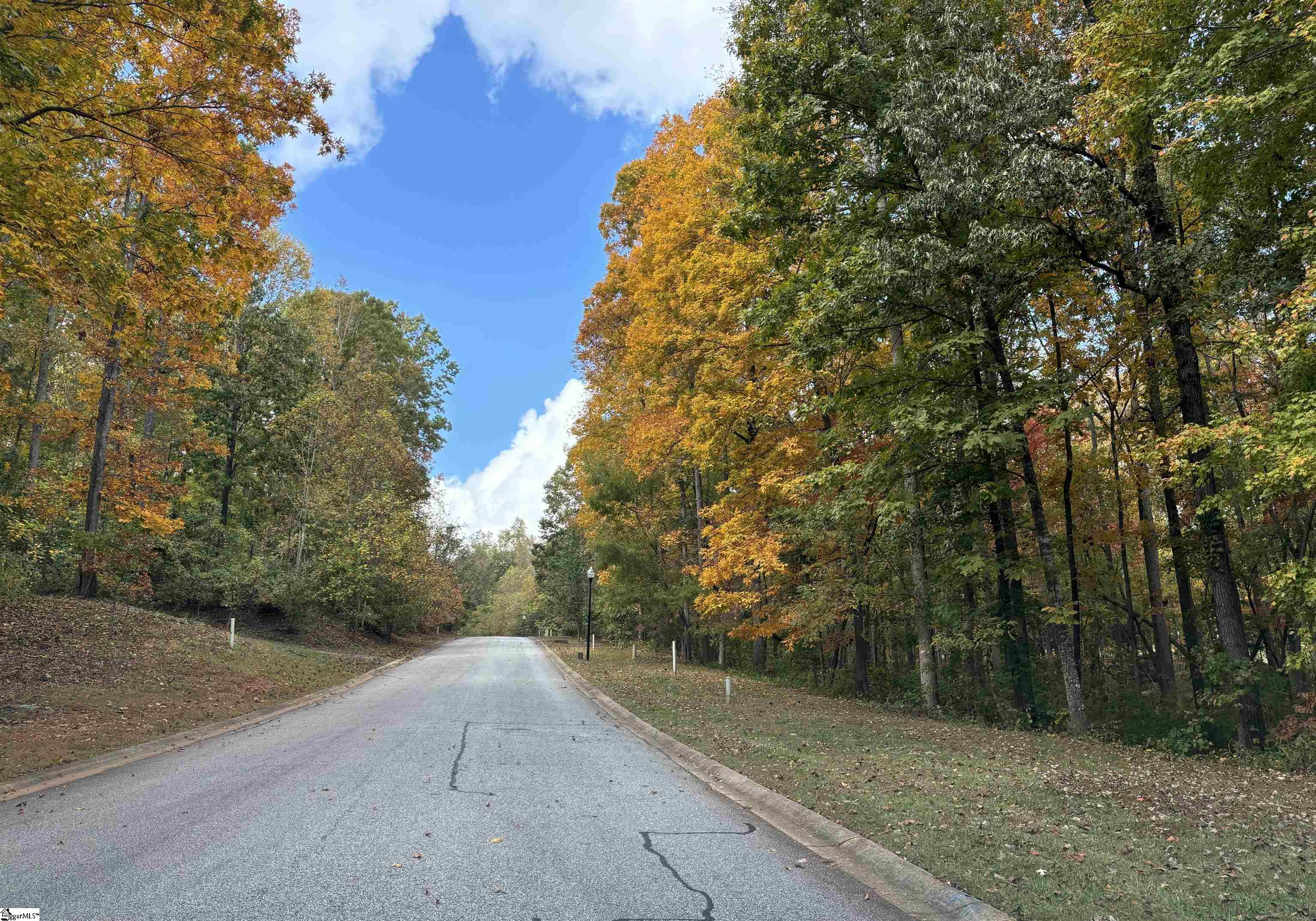 313 Laurel Valley, Travelers Rest, South Carolina image 22