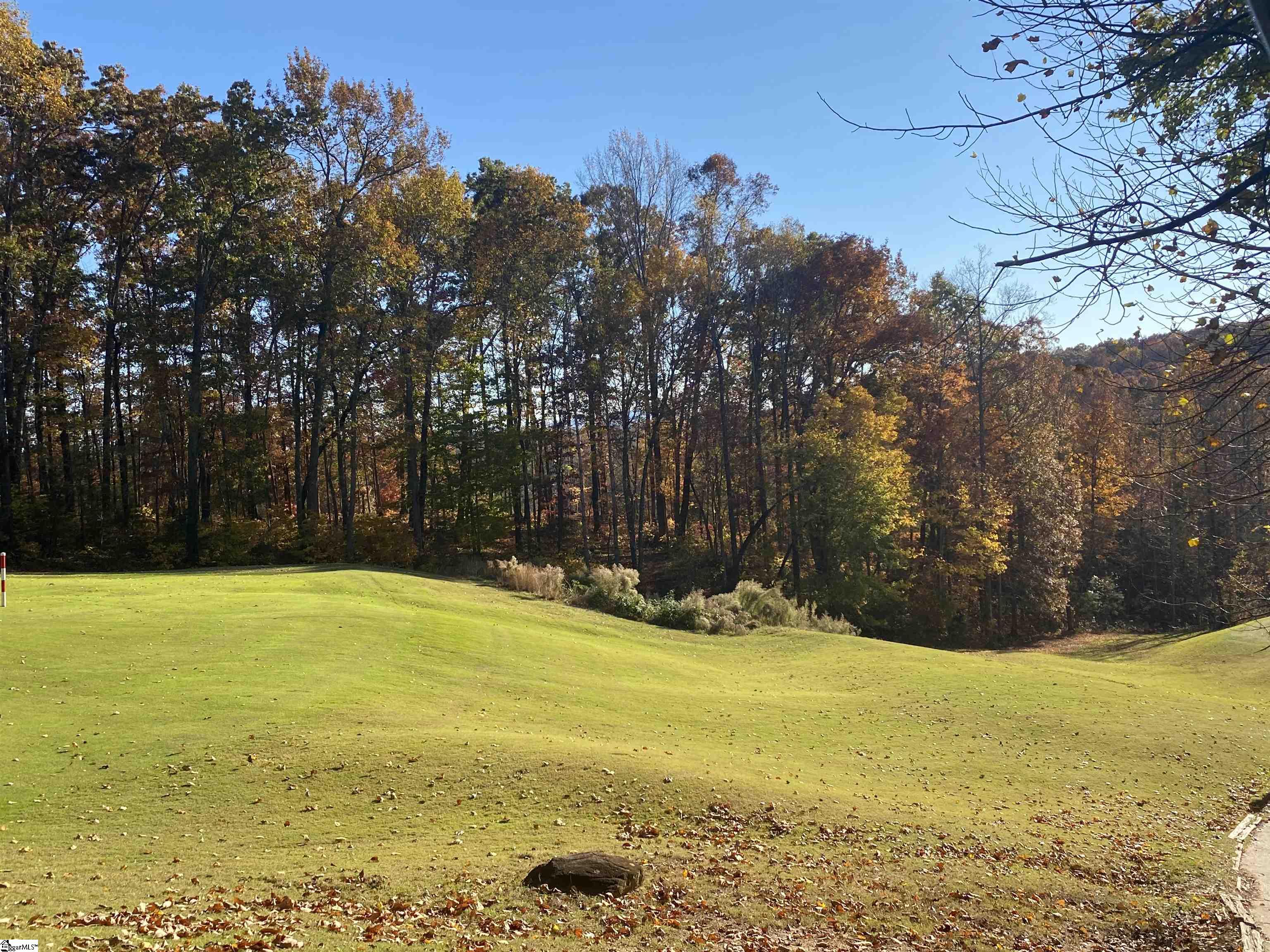 313 Laurel Valley, Travelers Rest, South Carolina image 24